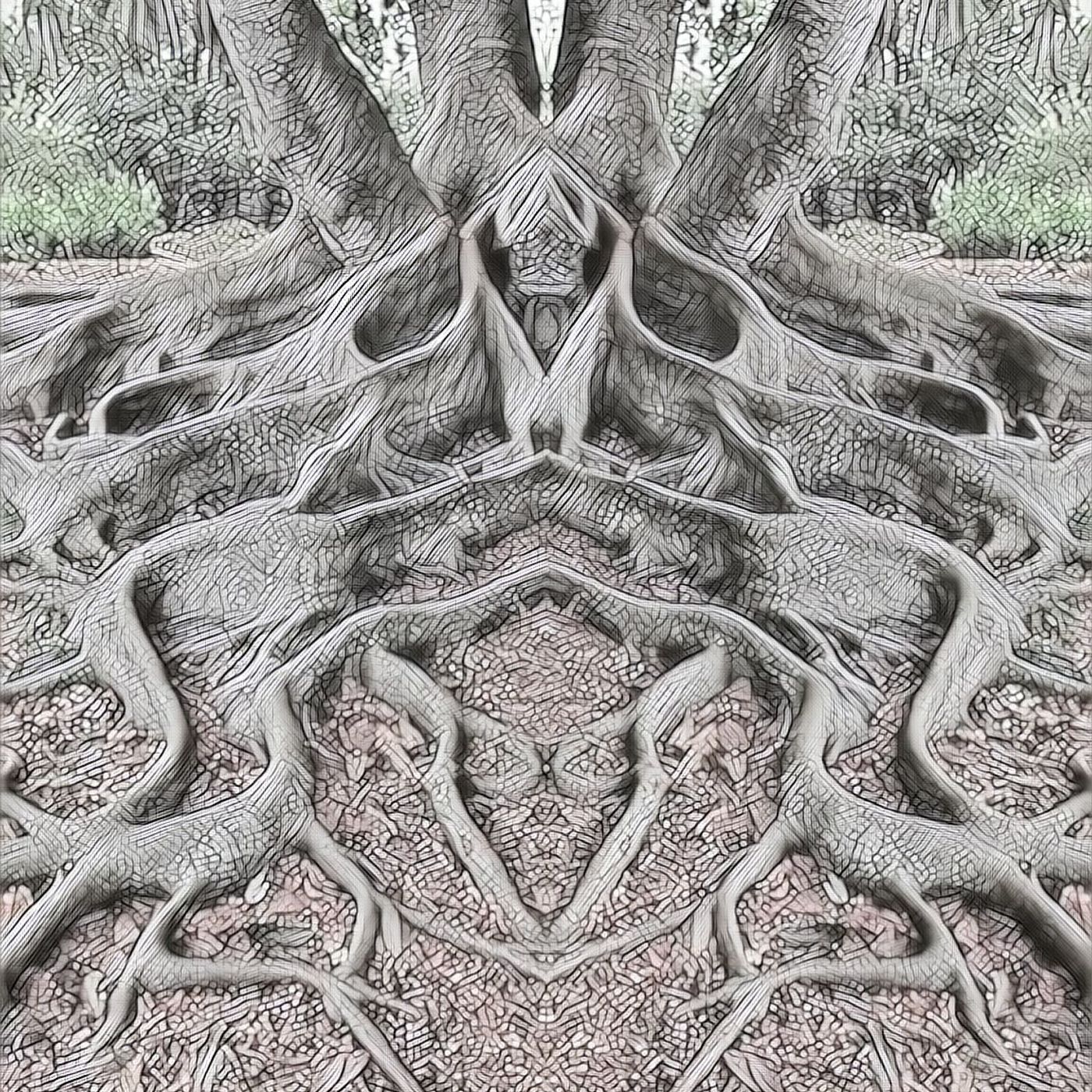 A Solitary Practitioner Podcast cover art