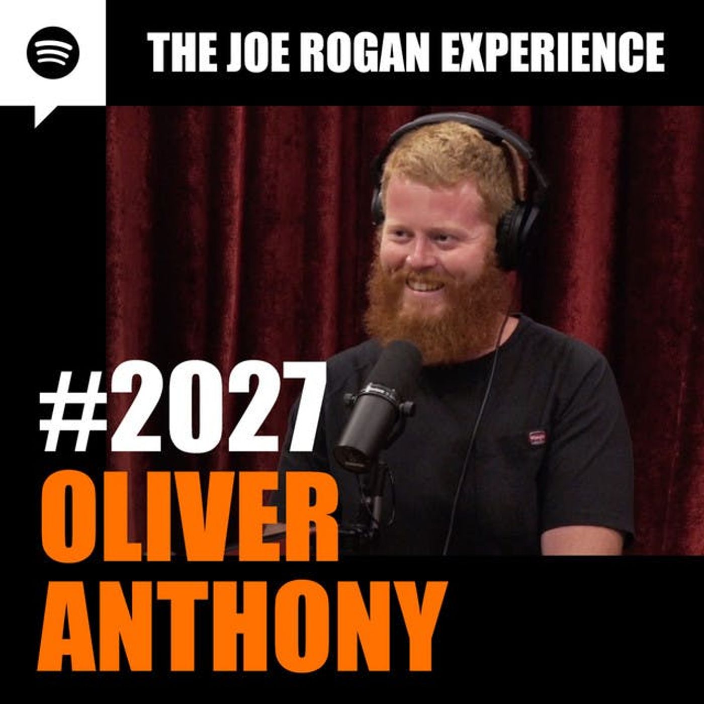 The Joe Rogan Experience