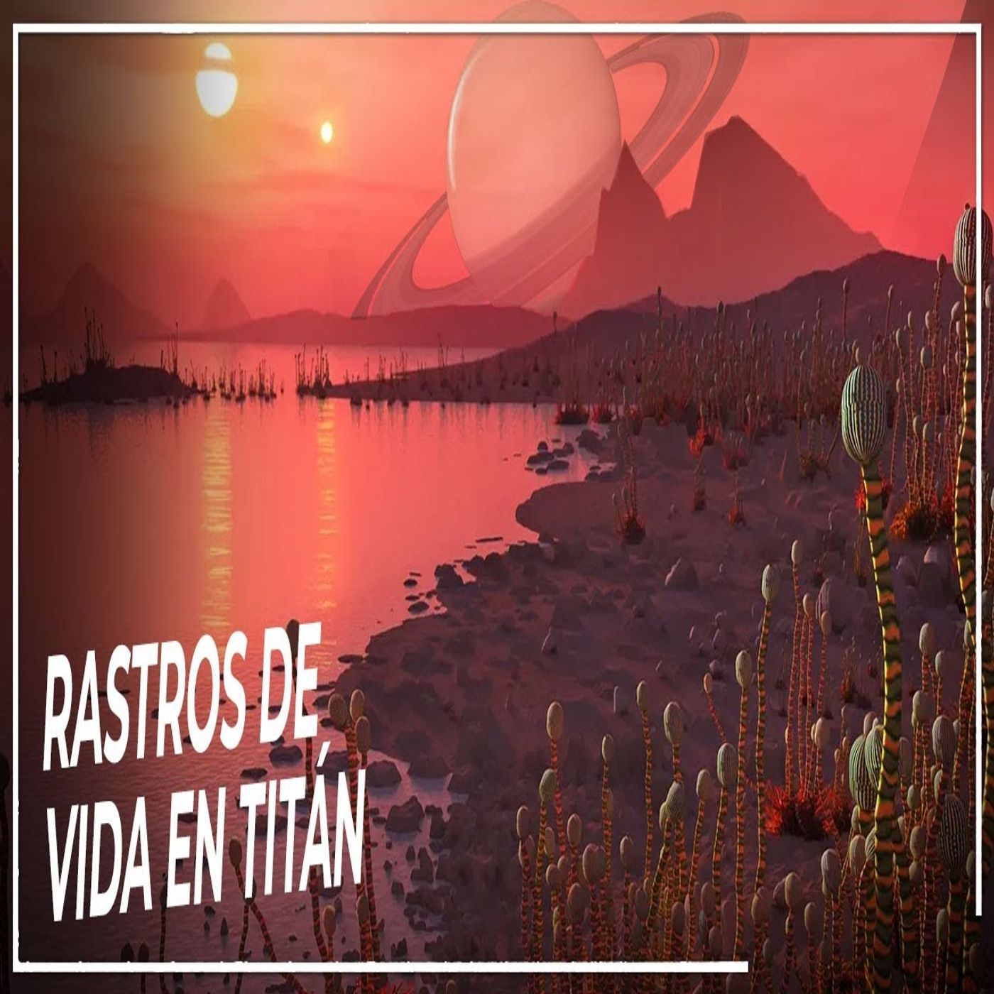 Jodisea Mundo Odiseas Documentales Podcast para dormir en Español Audio Libros Historia Niños+Adulto
