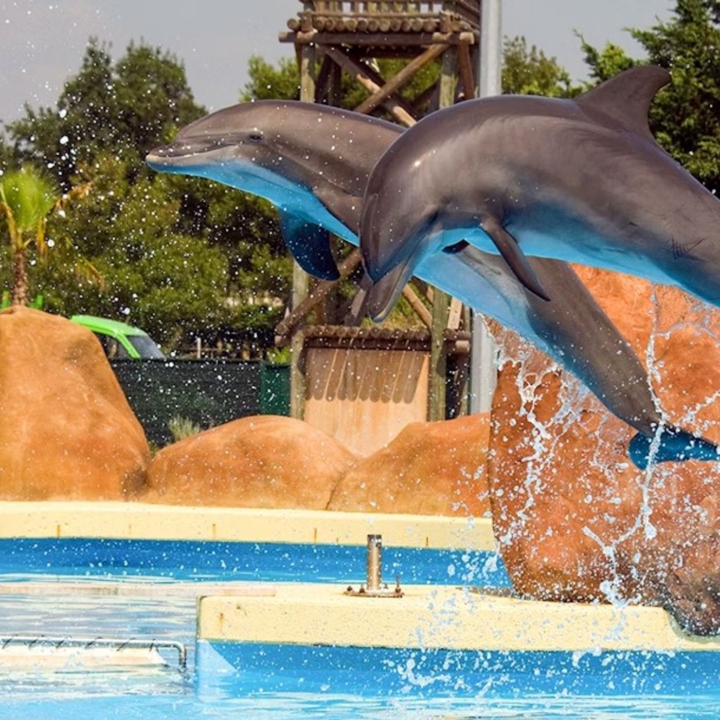 Nizza24 giovedì 23 ottobre: Allerta Météo - Piazza Sarkozy a Nizza - Orche e Delfini di Marineland - Nuovi Ambasciatori a Monaco