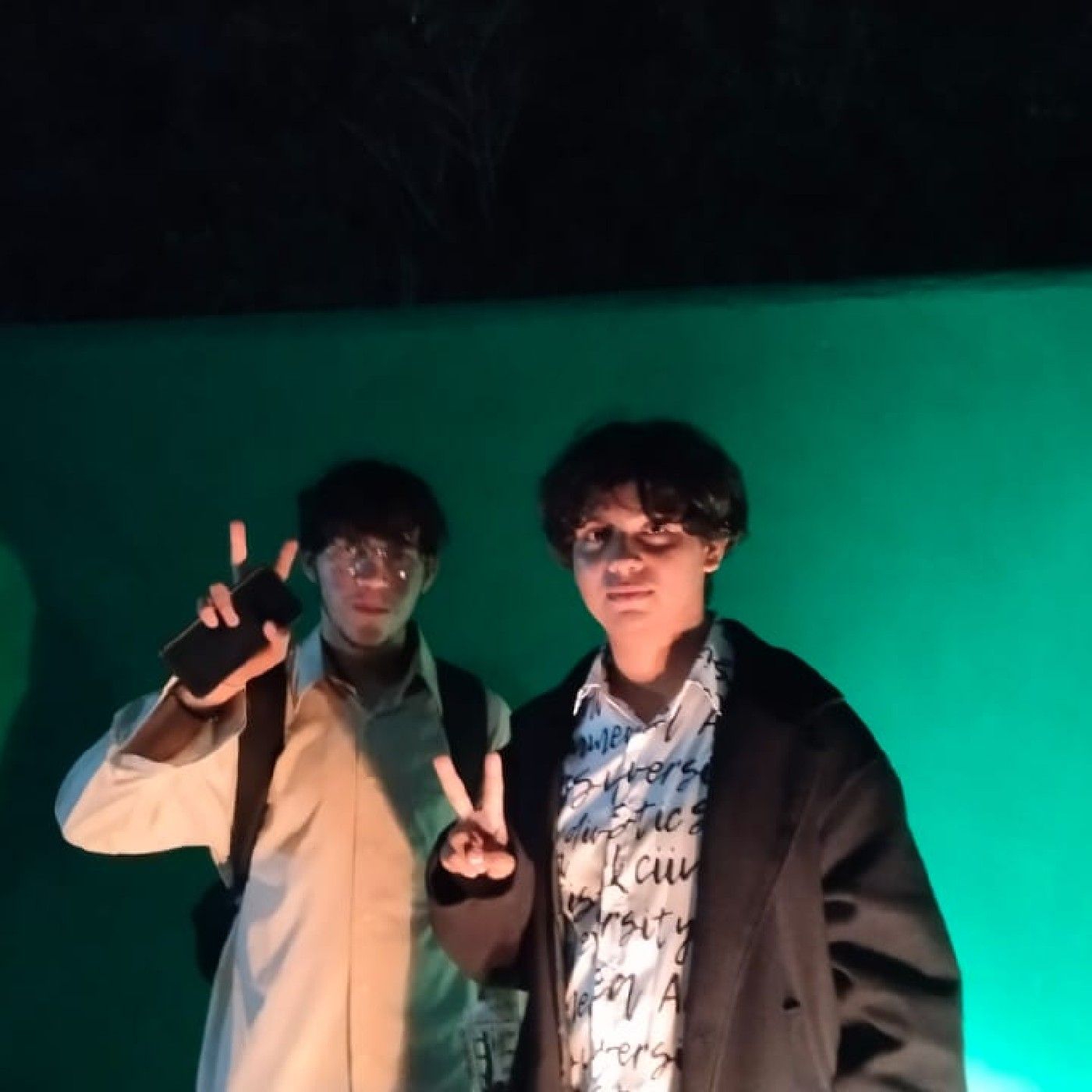 Los Desveladores