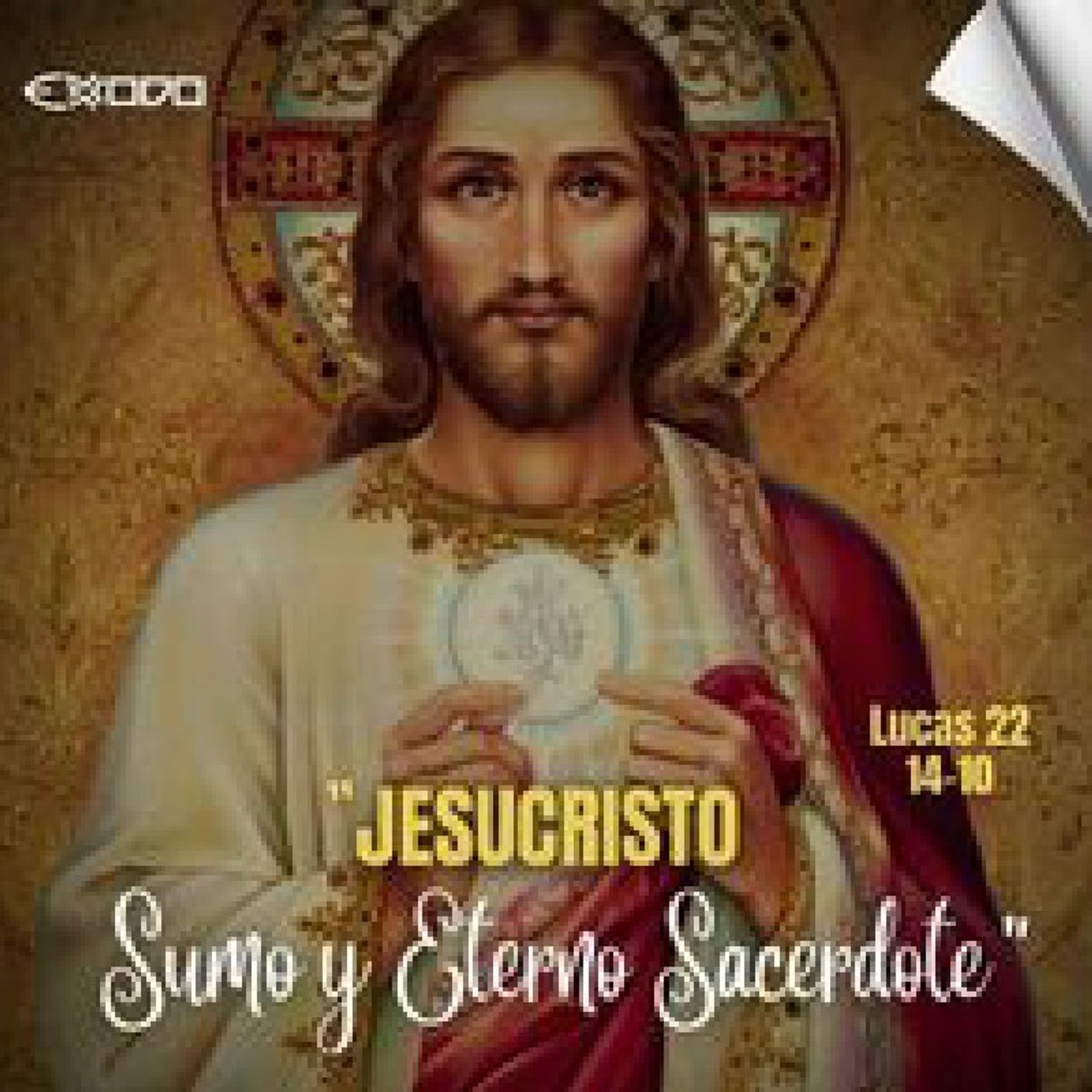 La Reflexión del Día "Sacerdotes según tu Corazón" episode artwork