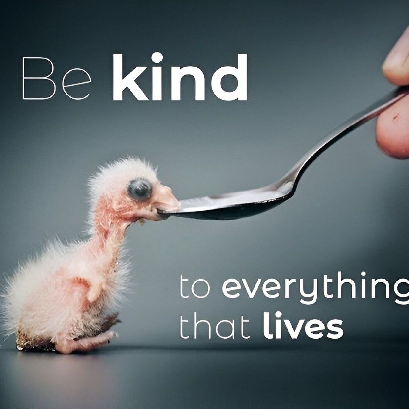 SHORT STORY ABOUT LOVE cover art