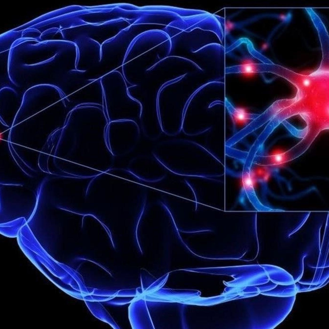 Mr. Groove en Neurona 6.6