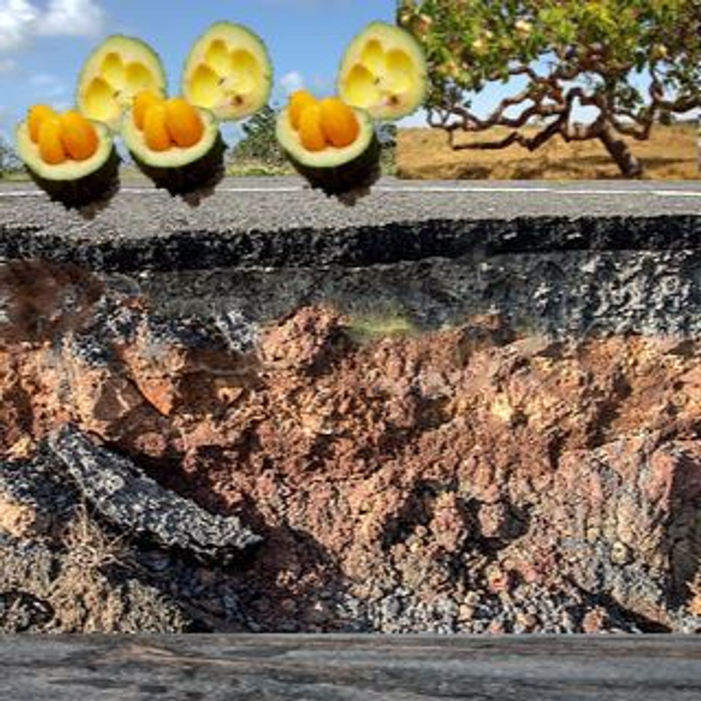 cronicasdacidade