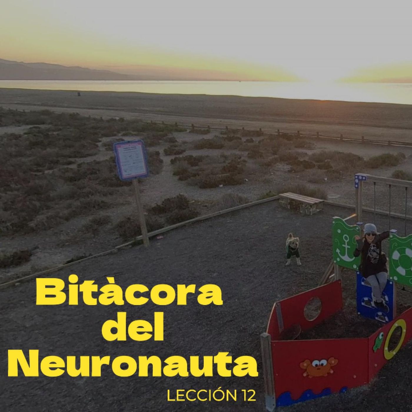 Hábitos de 5 MIN que TRANSFORMAN tu VIDA