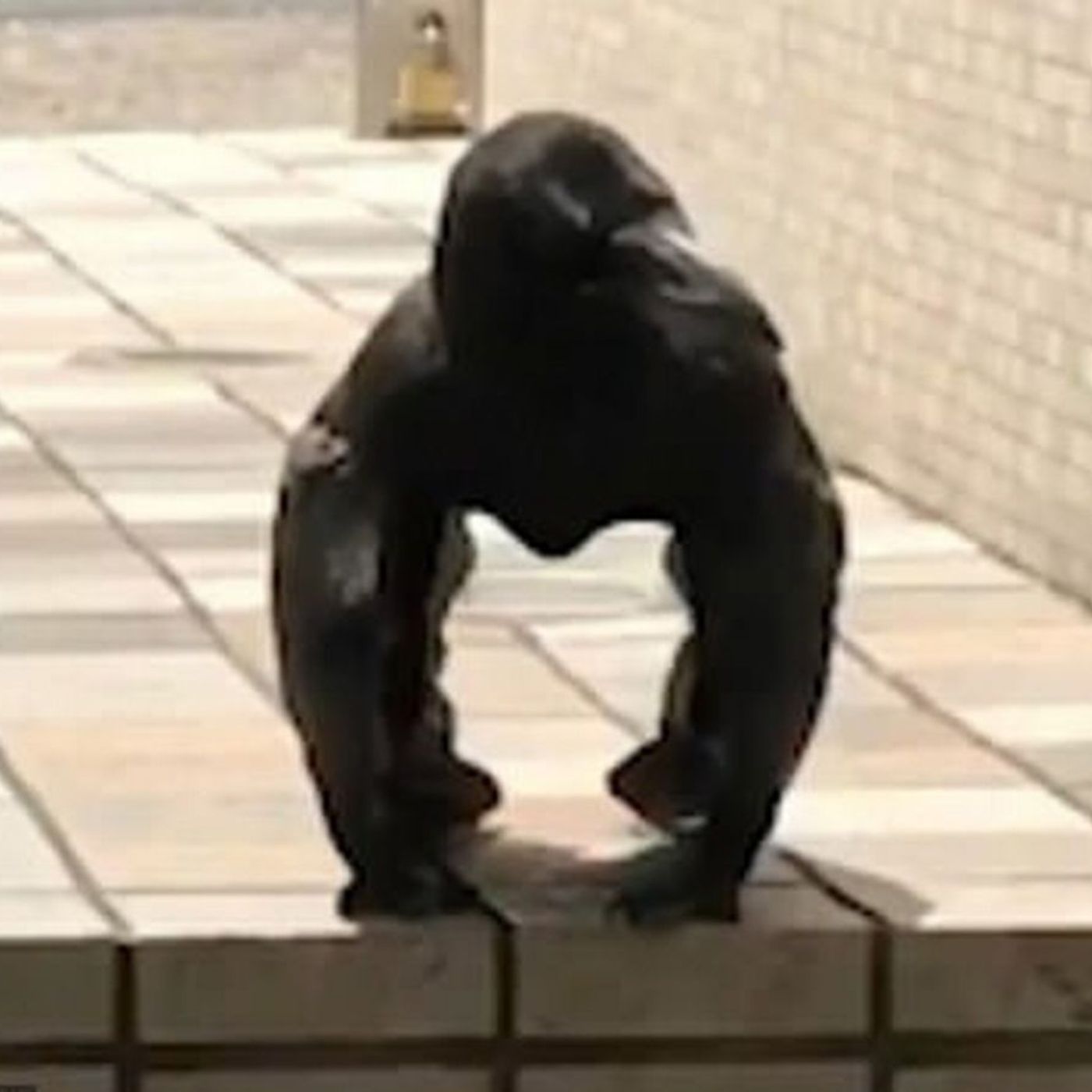 Historias de Miedo Junio 7 de 2022 UN SER PELEÓ CON MI PADRE