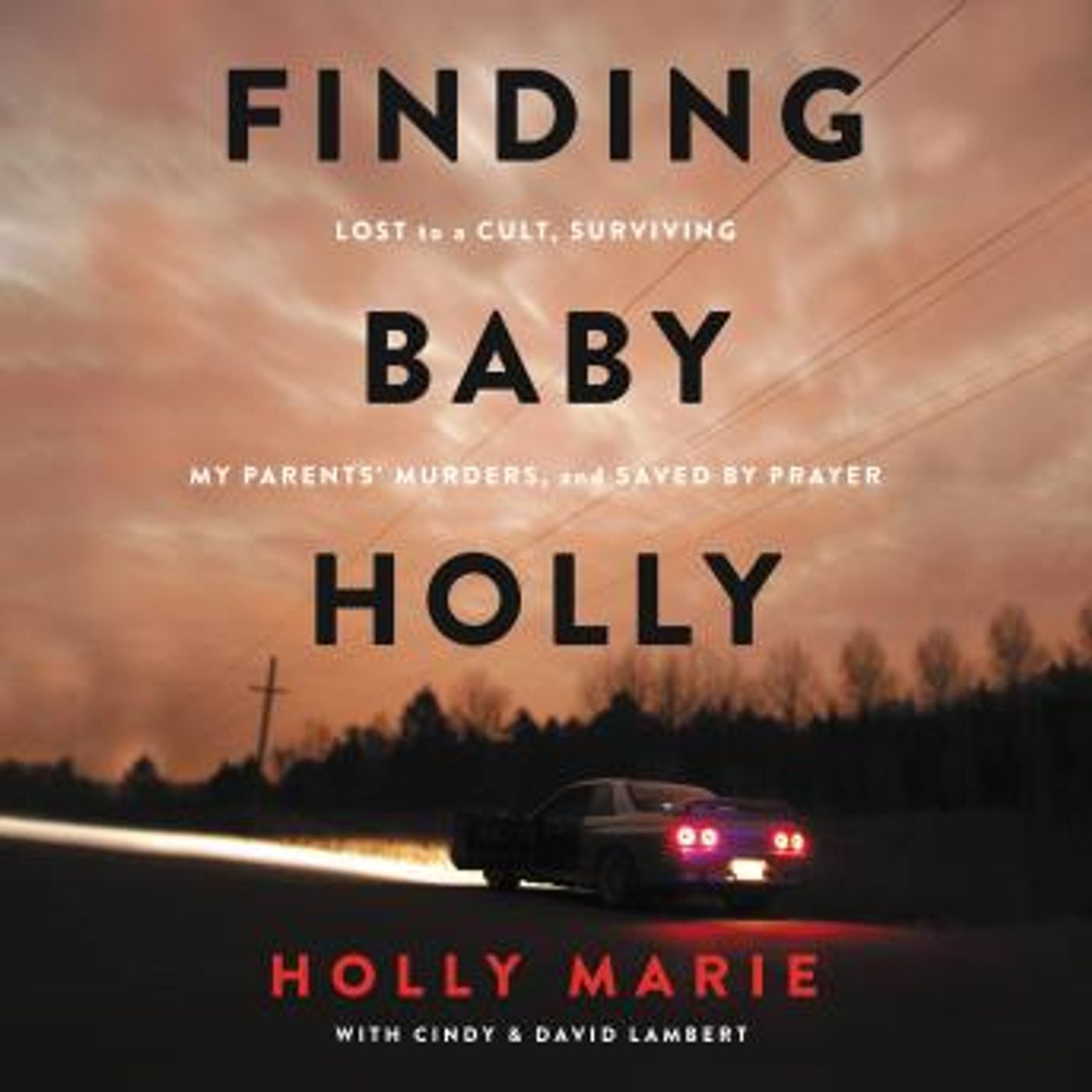 Download New Full Audiobooks in Mystery, Thriller & Horror, True Crime