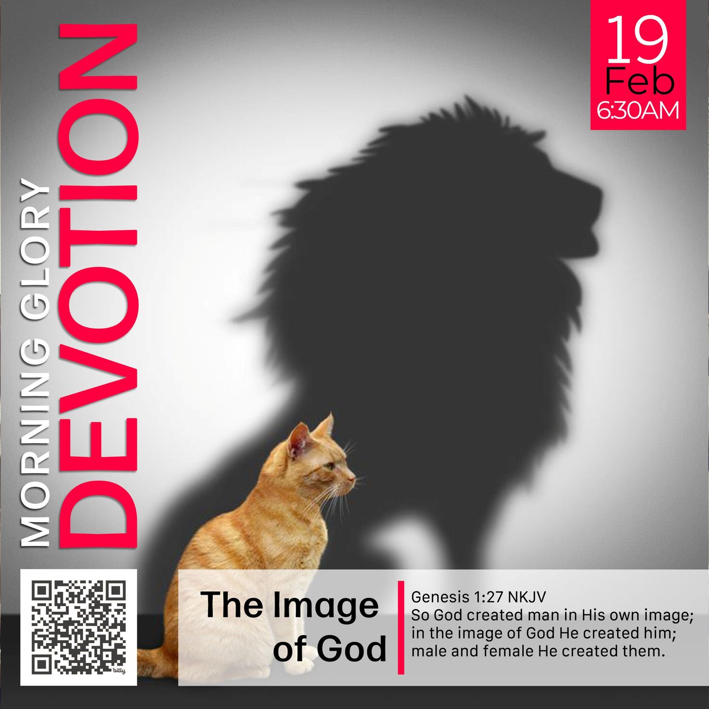 MGD: The Image of God
