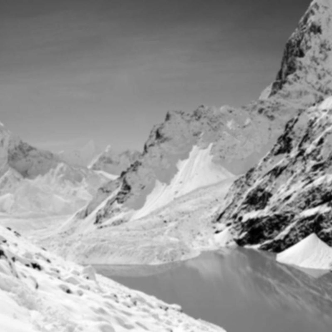 OLTRE LA MEMORIA - I Fiori del Silenzio