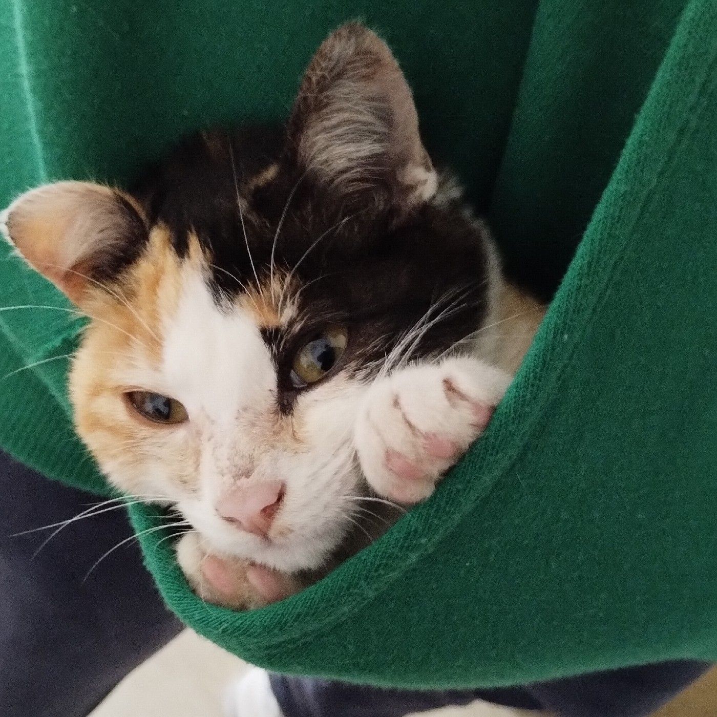 Entre paredes cover art