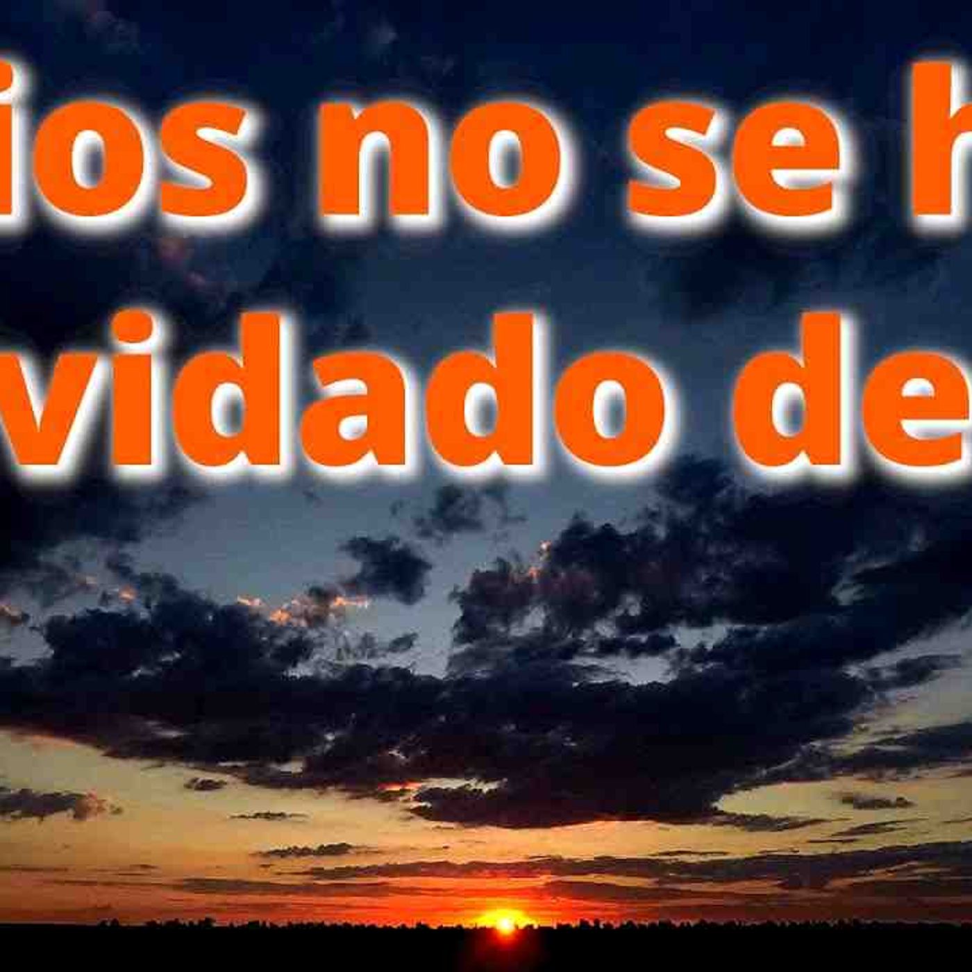 Dios no se ha olvidado de ti _ Dios no te ha abandonado _ devocionales(MP3_160K)_1 episode artwork