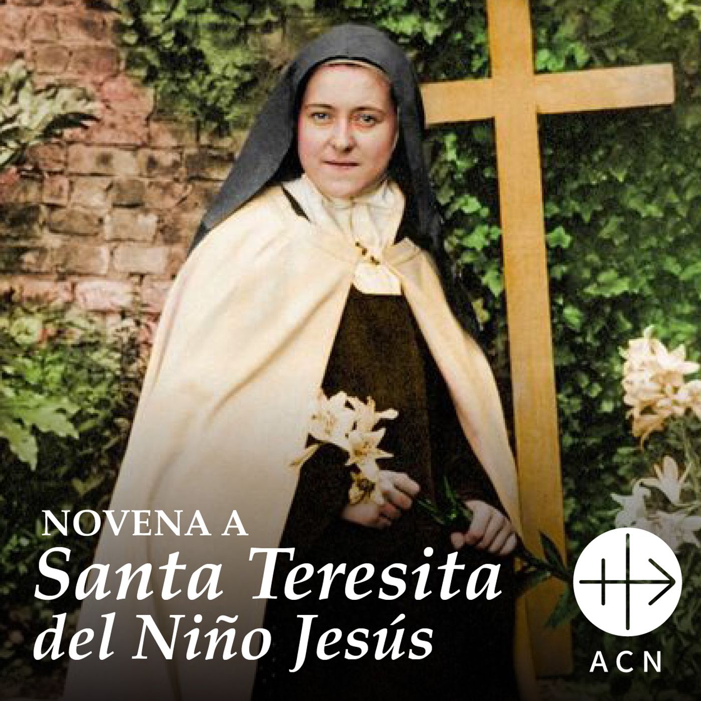 Novena a Santa Teresita del Niño Jesús podcast artwork