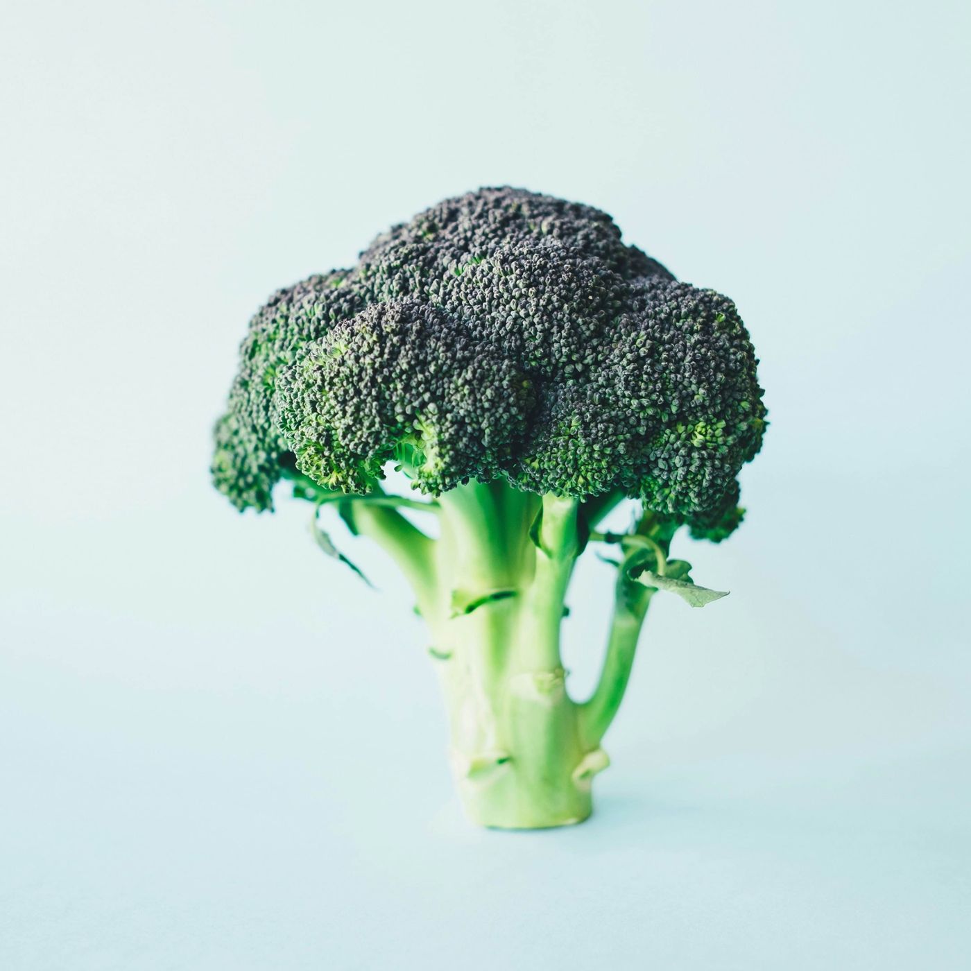 The Healing Power and Therapeutic Benefits of Broccoli episode artwork