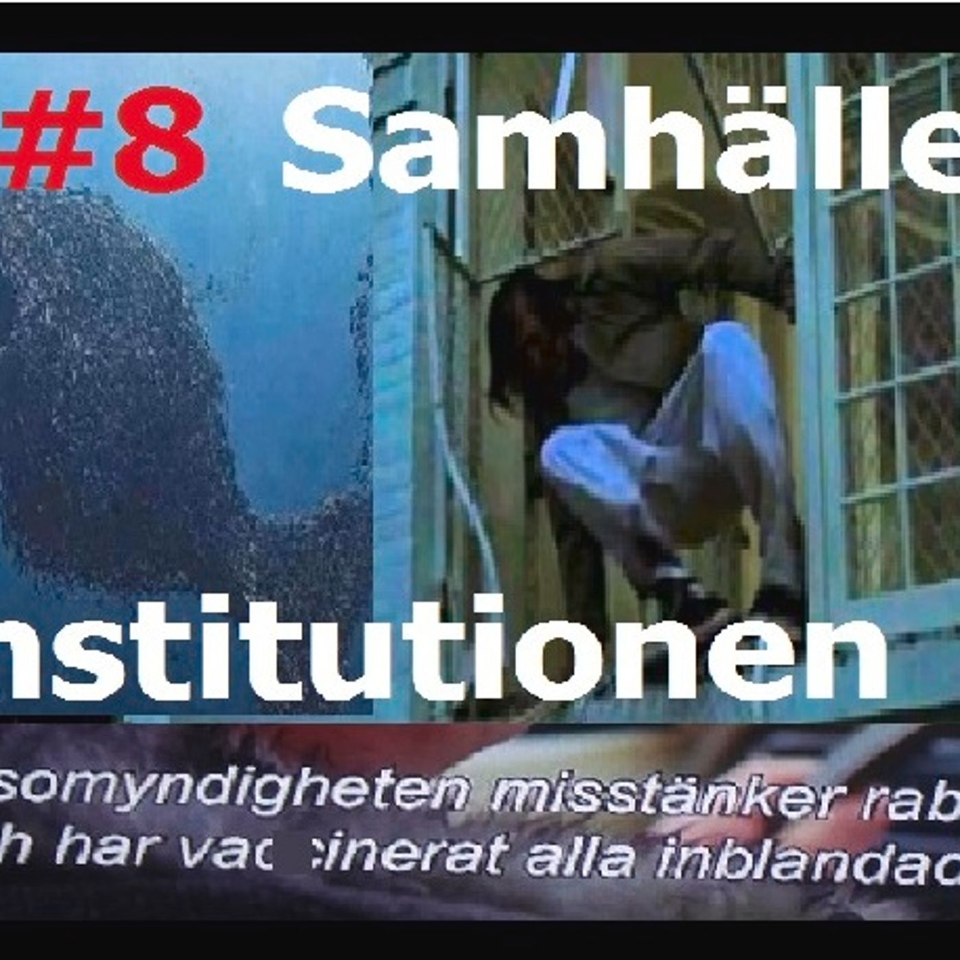 Del #8 Samhället - Institutionen episode artwork