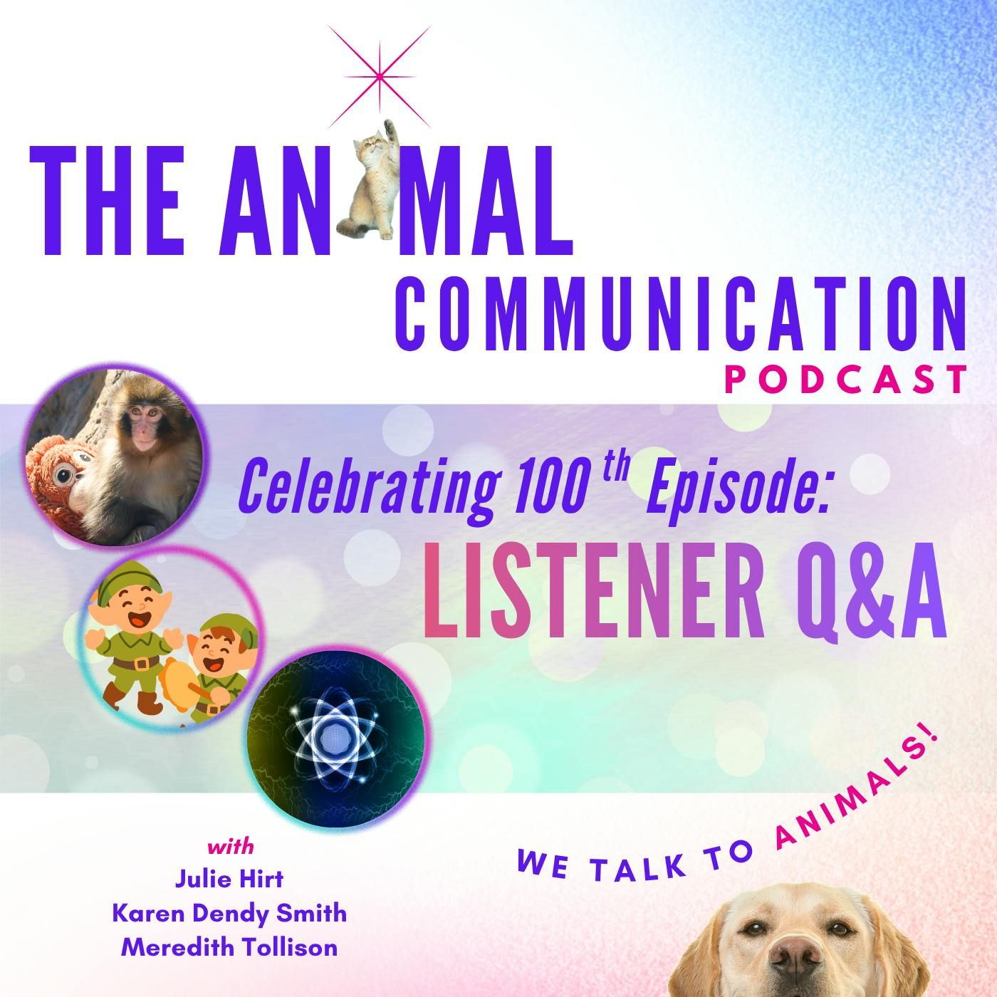 100th Episode with Listener Q&A episode artwork