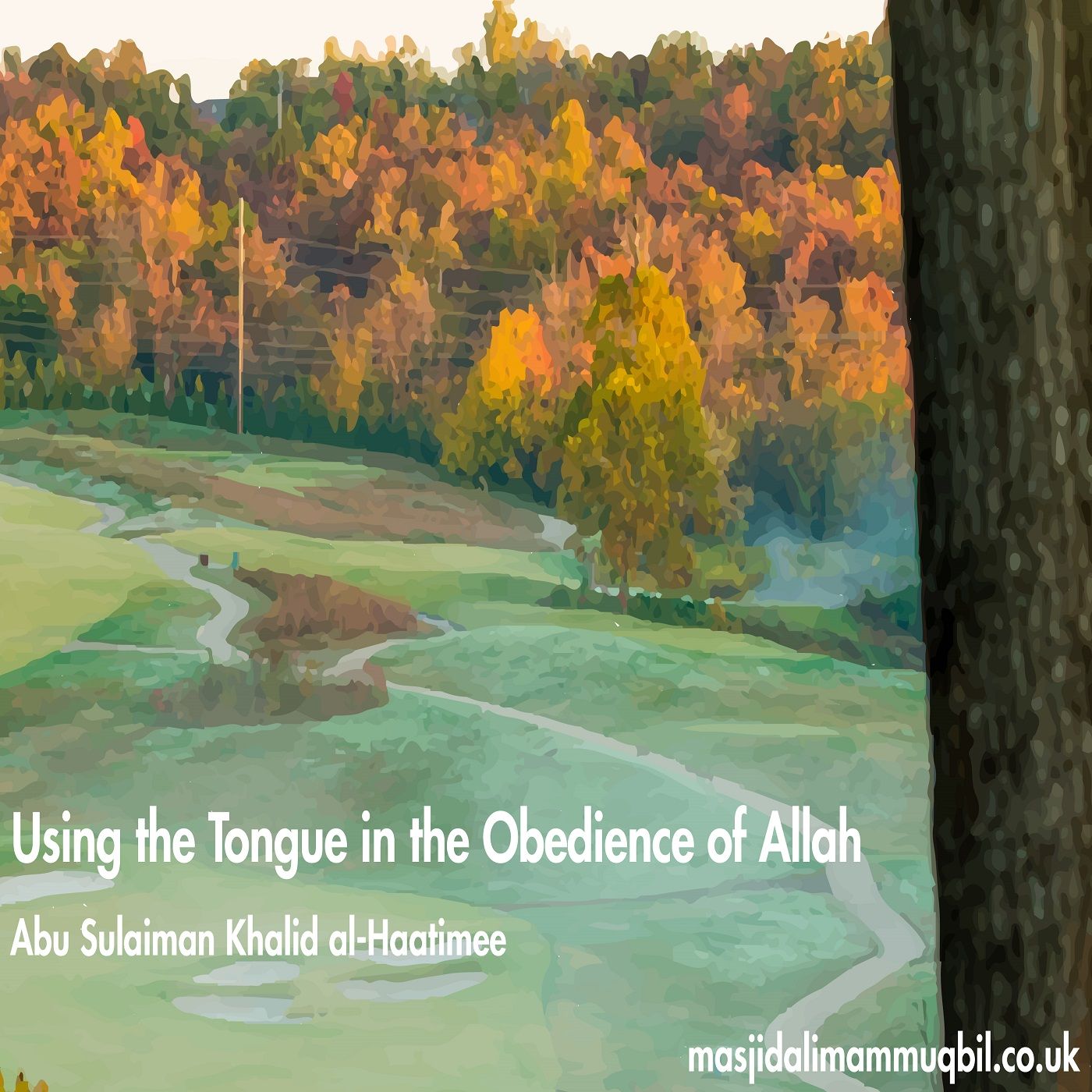 The Tongue: Benefits of Using it in the Obedience of Allah | Abu Sulaiman Khalid al-Haatimee episode artwork