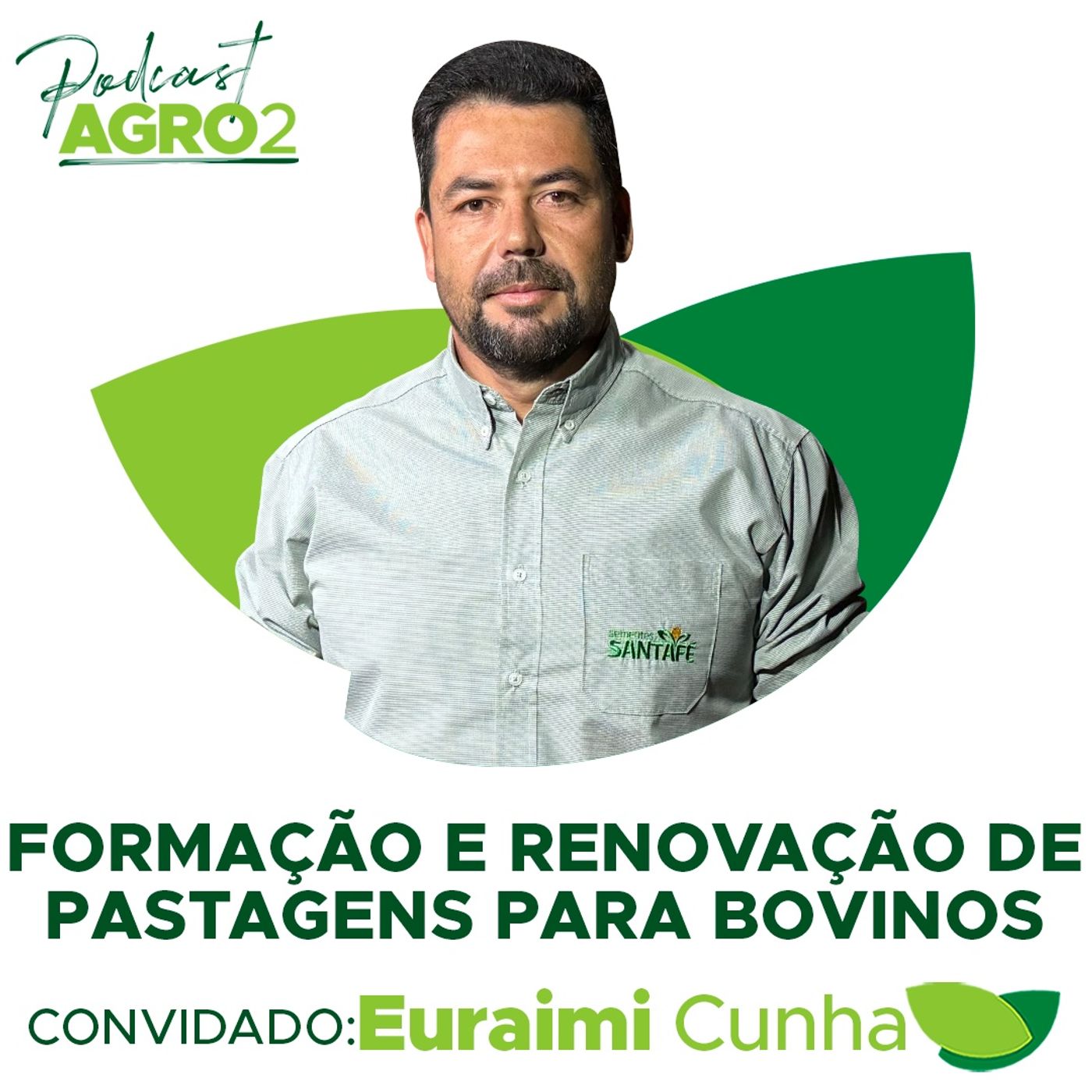 Como planejar a formação e a renovação de pastagens para garantir boa nutrição aos bovinos? #265 episode artwork