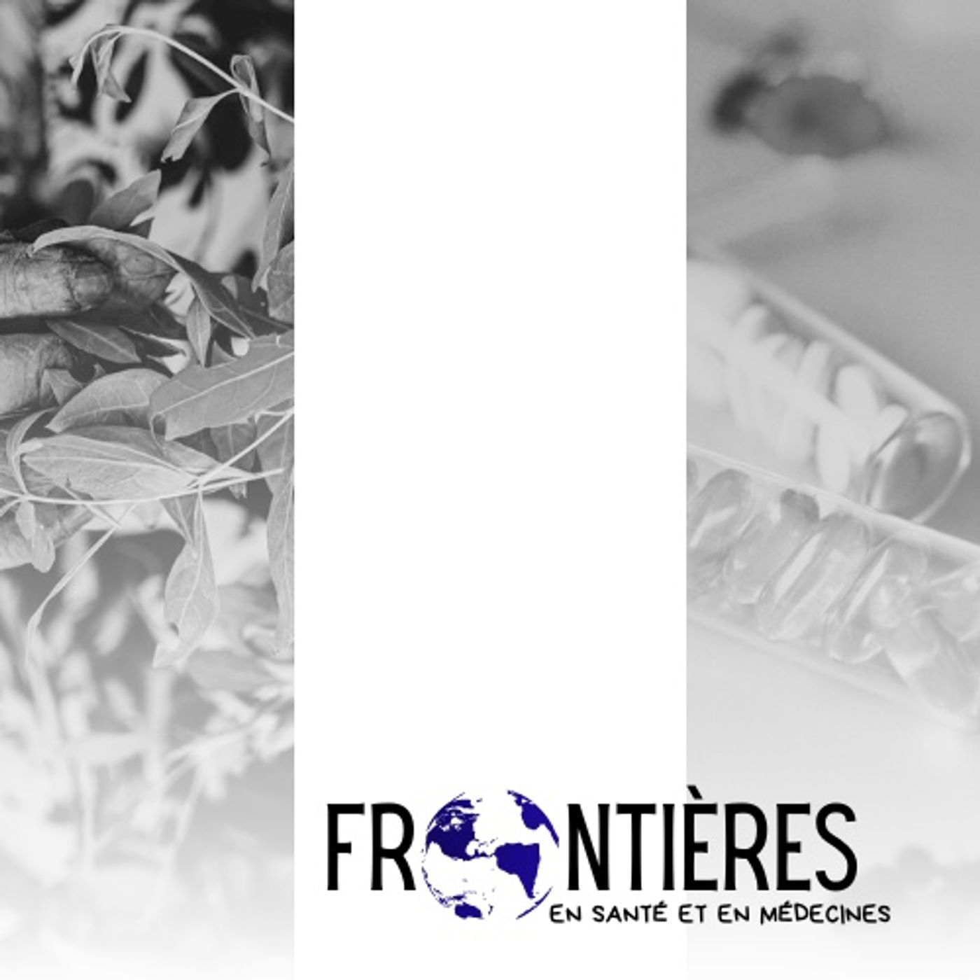 Frontières en santé (et en médecines)
