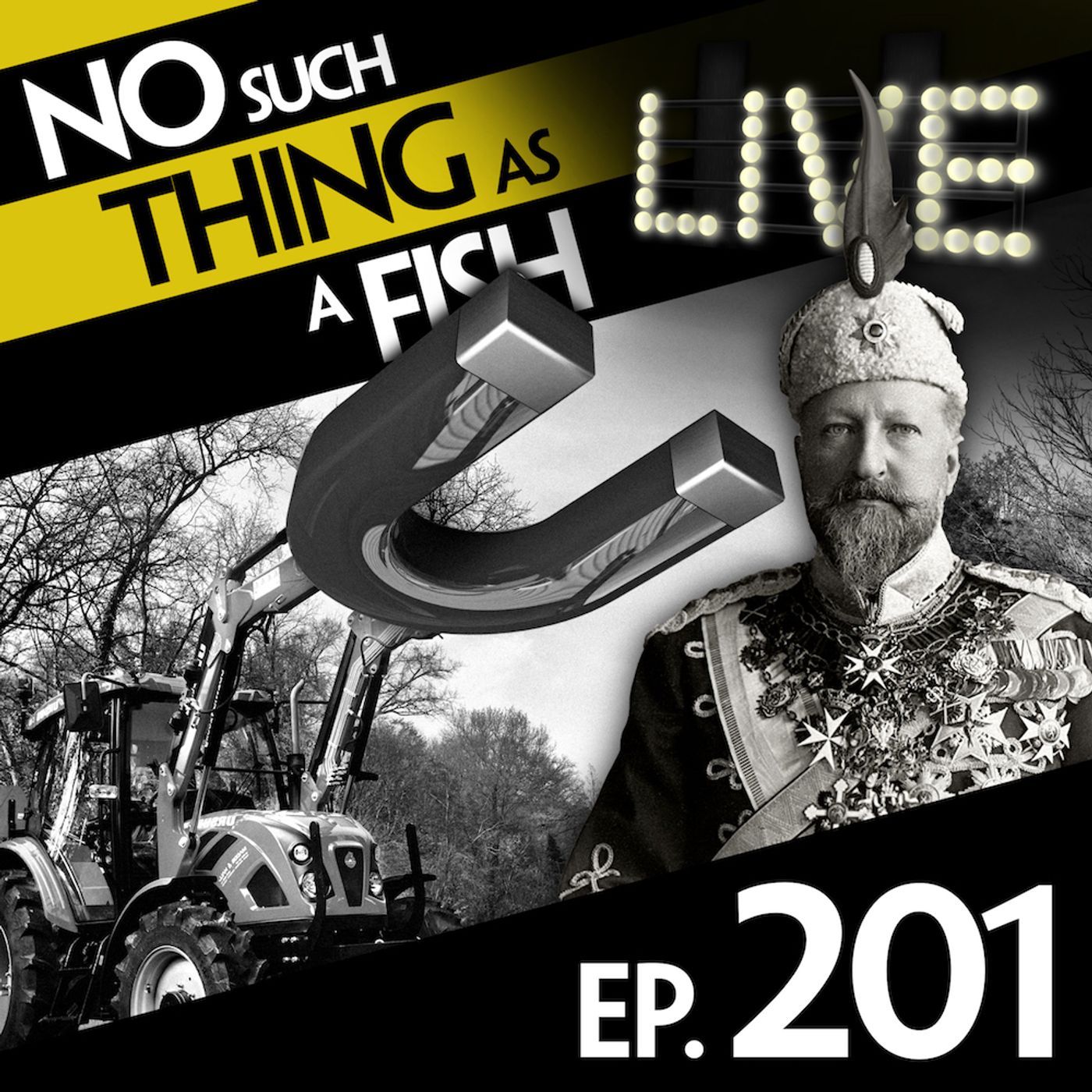 No Such Thing As A Fish