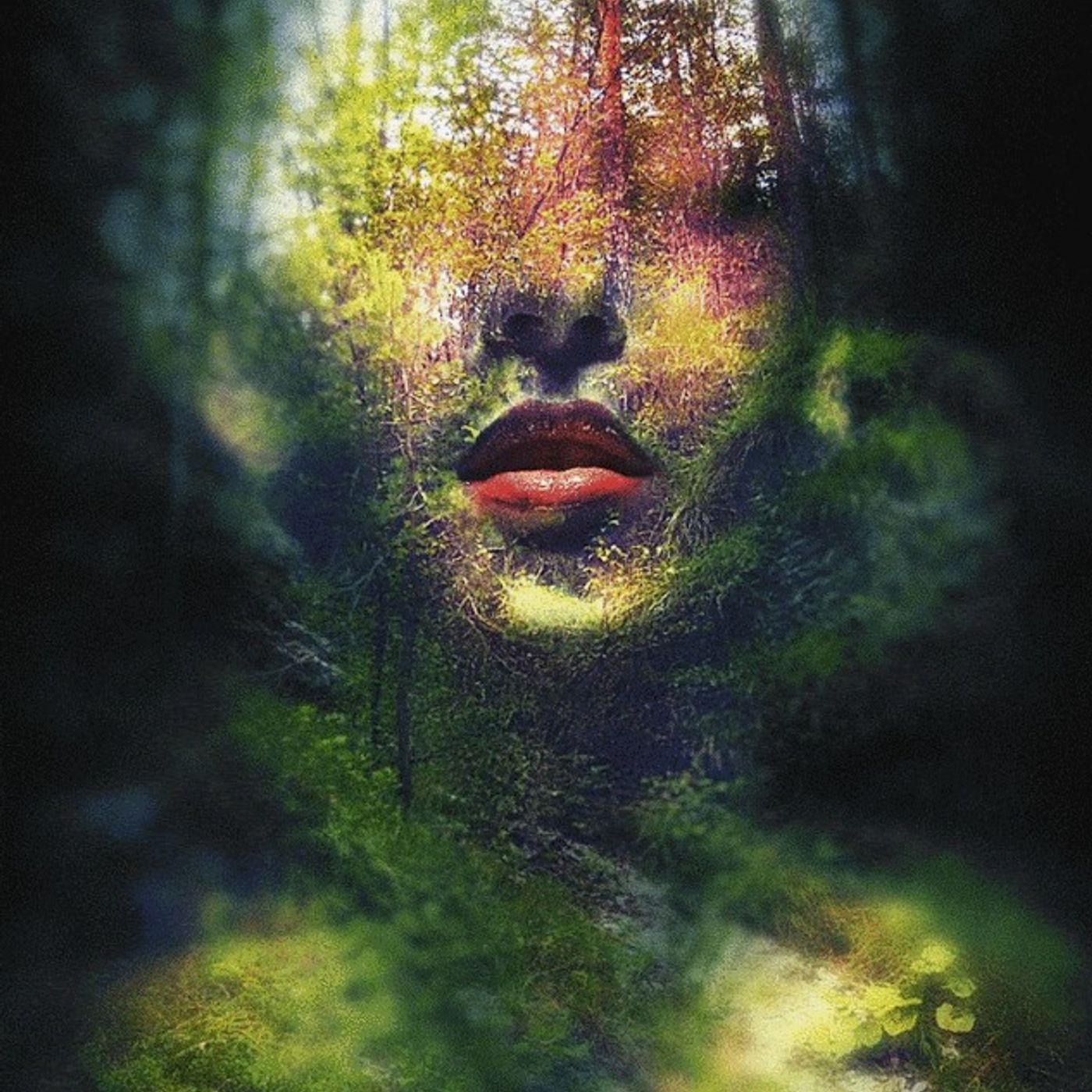 ll Regno Devico – Gli Spiriti della natura esistono?- Parleremo dei spiriti Elementali - con Lettura personalizzata Aurica episode artwork
