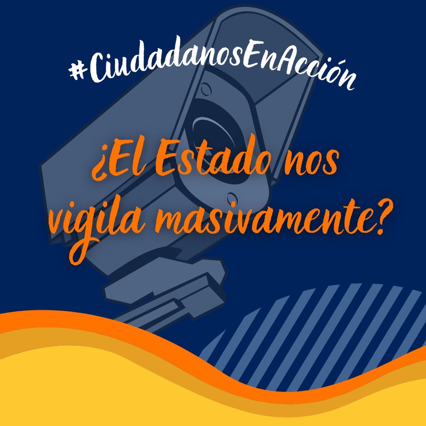 Ciudadanos en acción