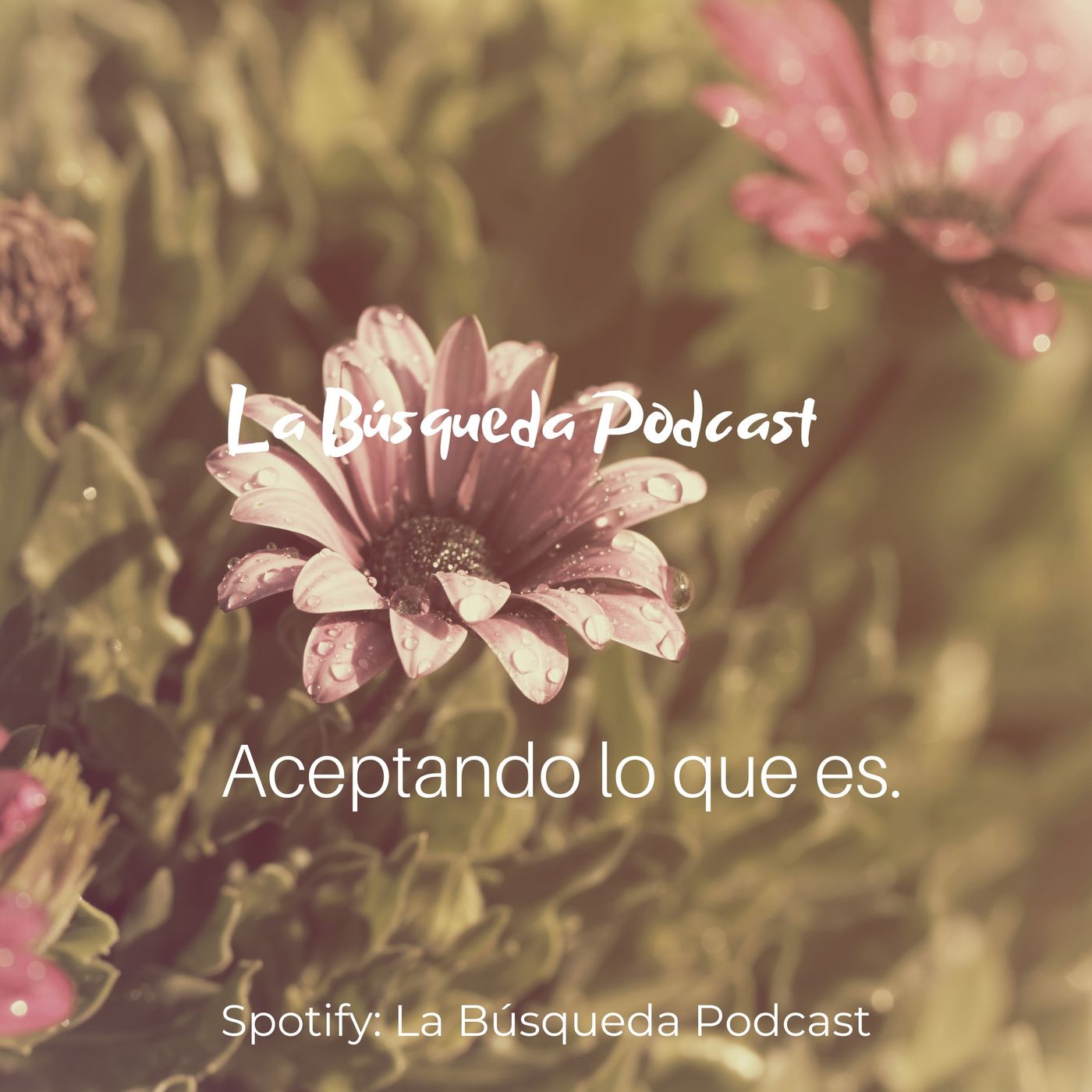 Meditación: Aceptando lo que es.