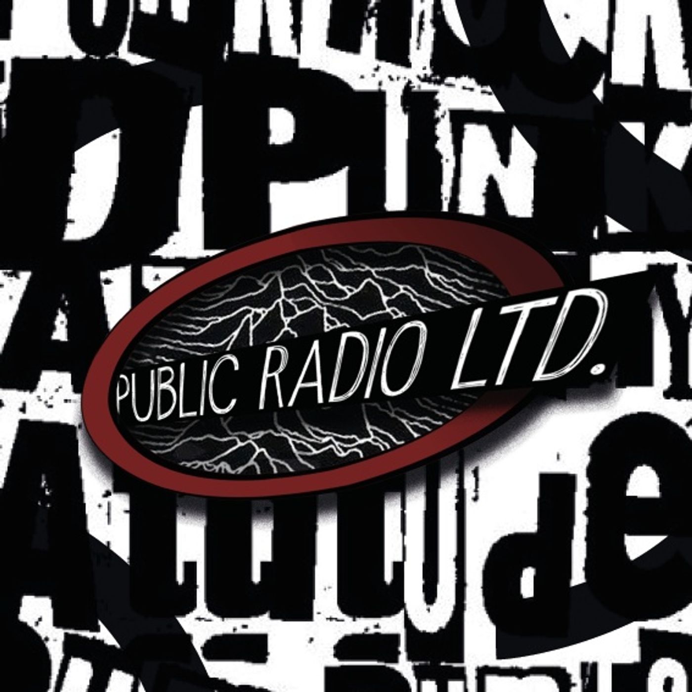 15. Public Radio LTD.