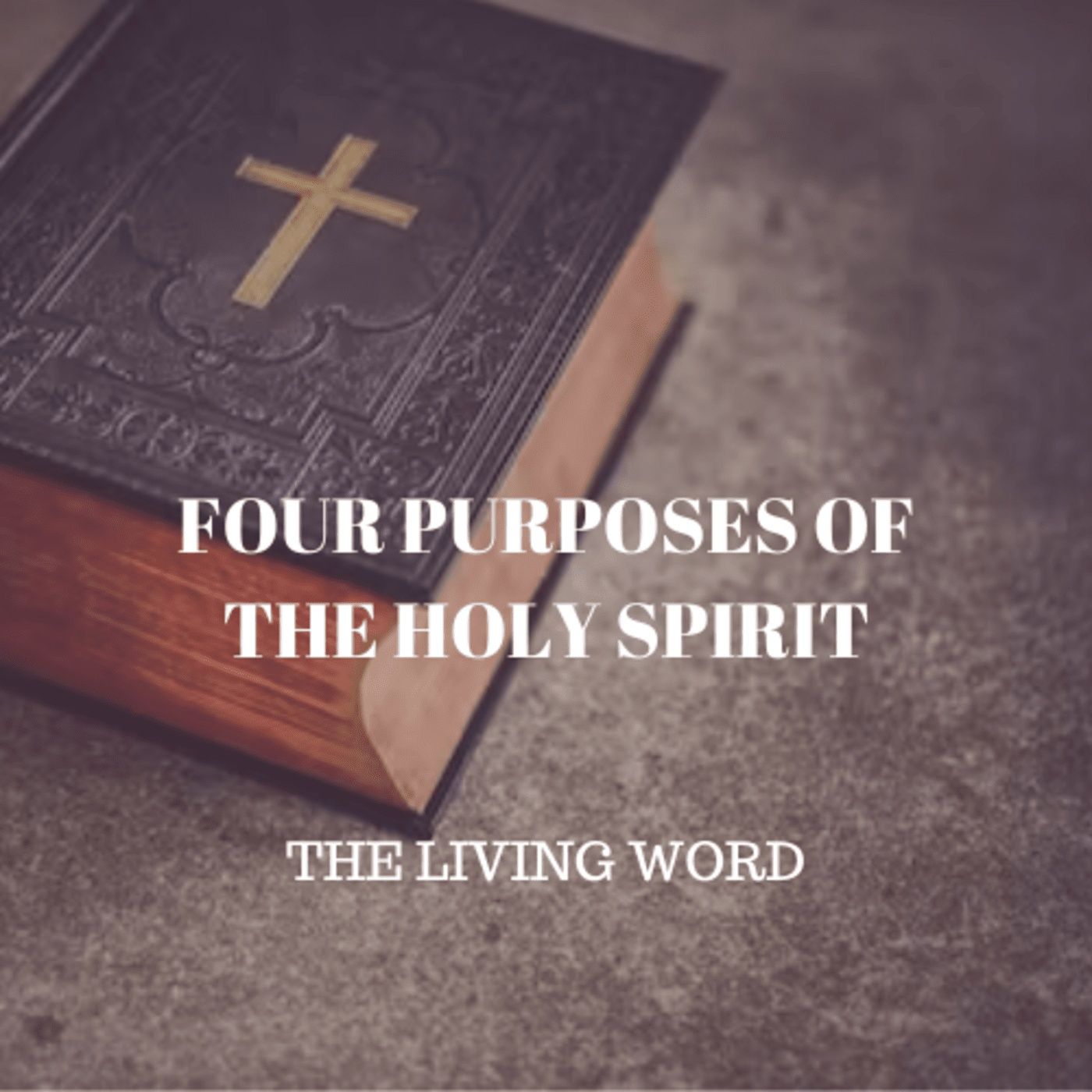 Four Purposes of the Holy Spirit episode artwork
