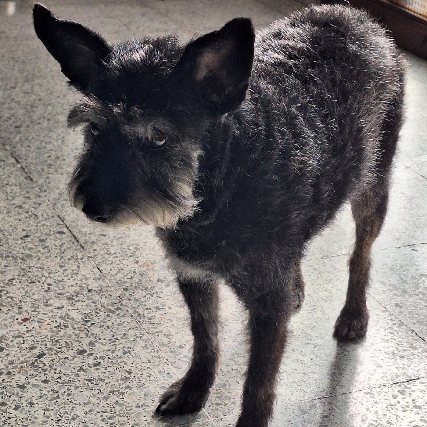 Entre vías y recuerdos