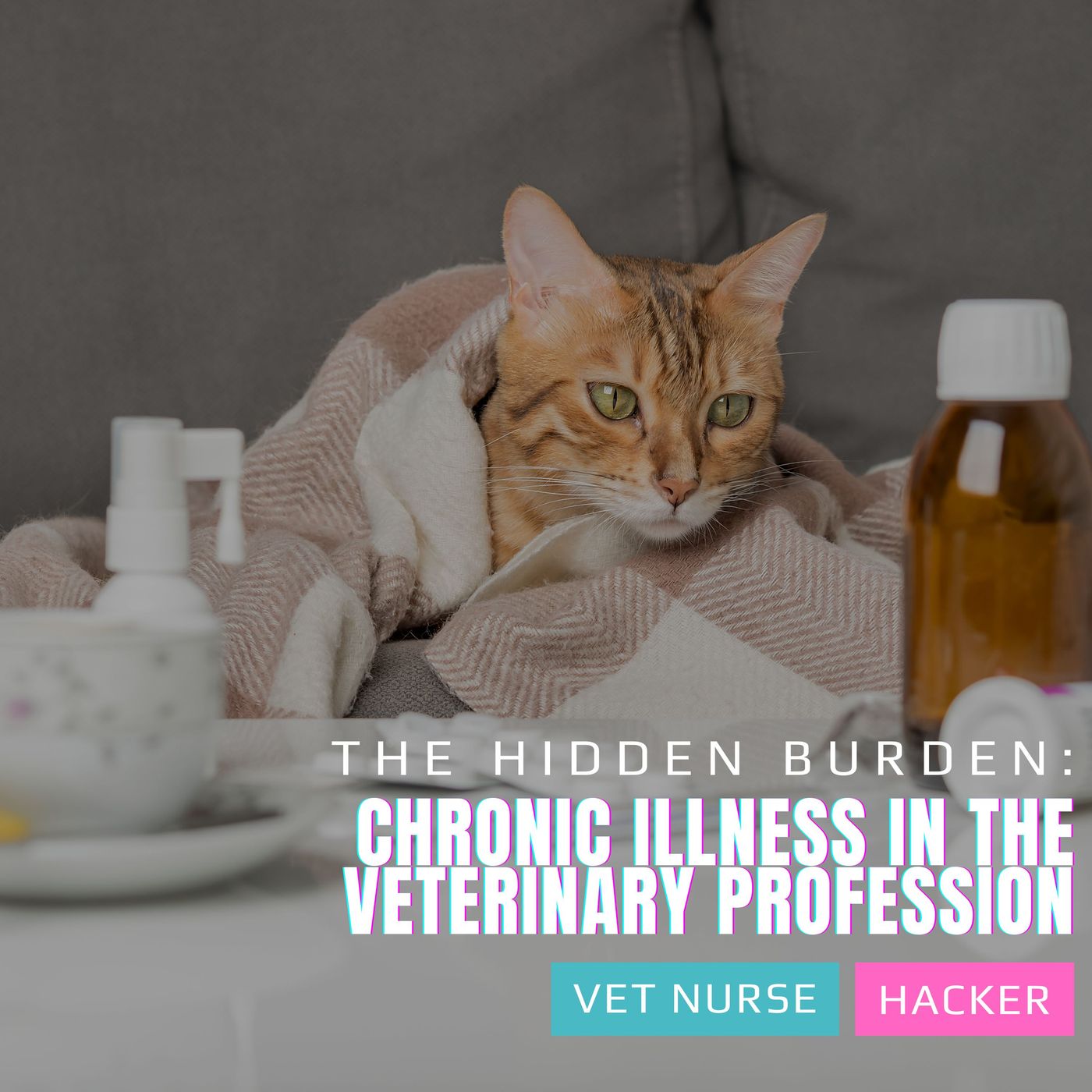 The Hidden Burden: Chronic Illness in the Veterinary Profession | Ep15