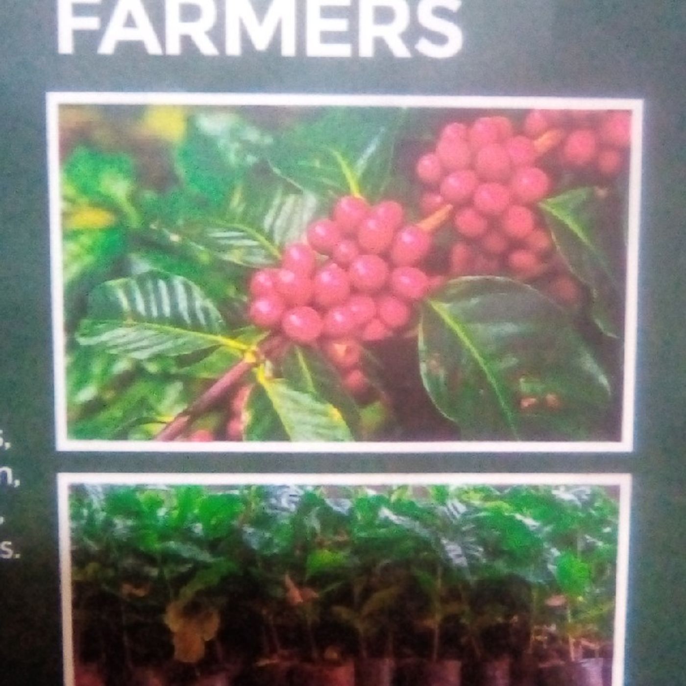 coffee Price Reduction By April 2026 episode artwork