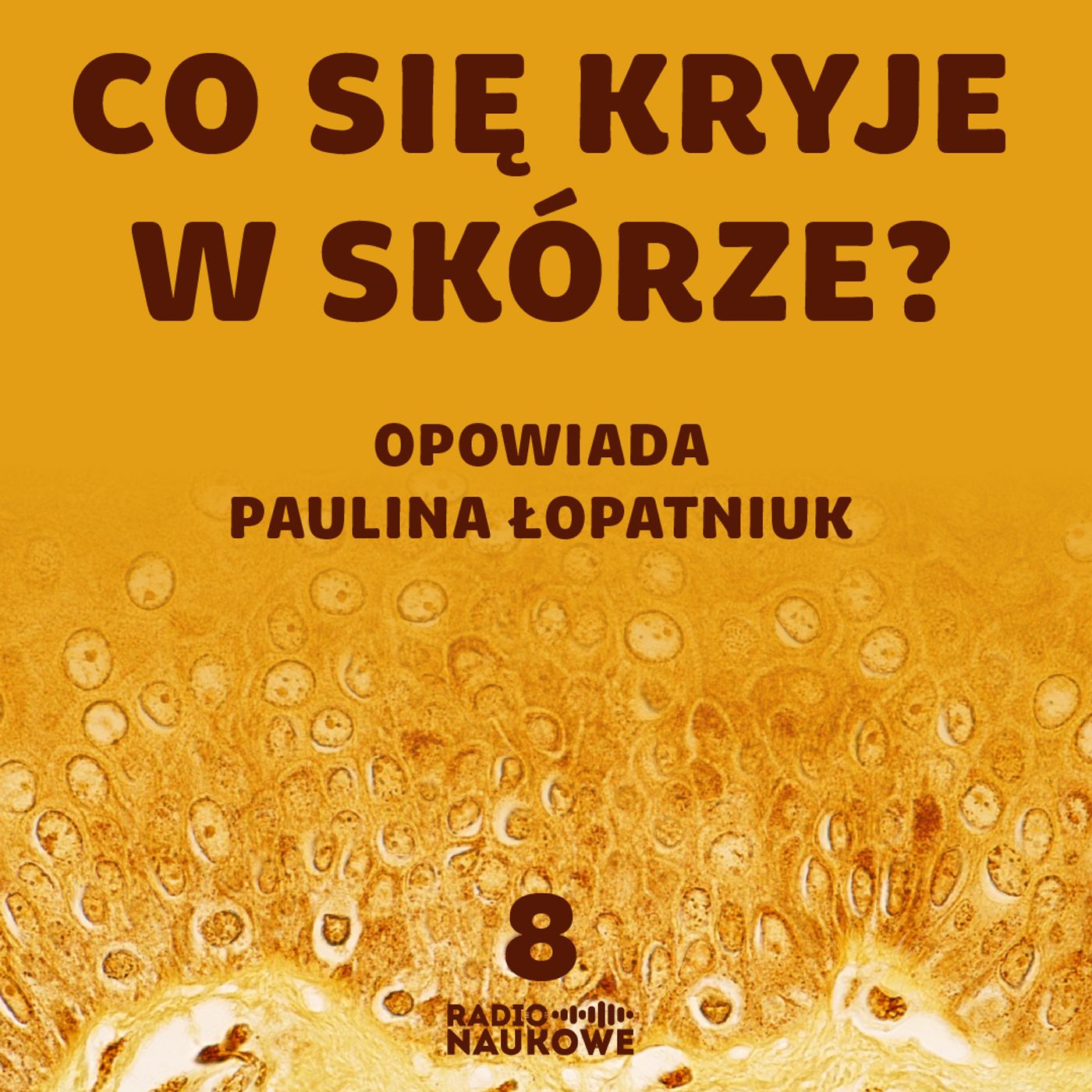 #08 Co Ty wiesz o największym organie swojego ciała? | Paulina Łopatniuk