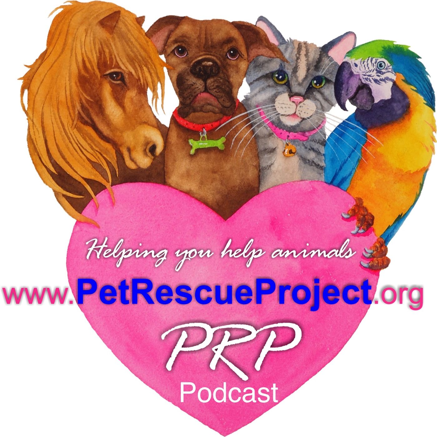 Pets & Critter Talk With PRP
