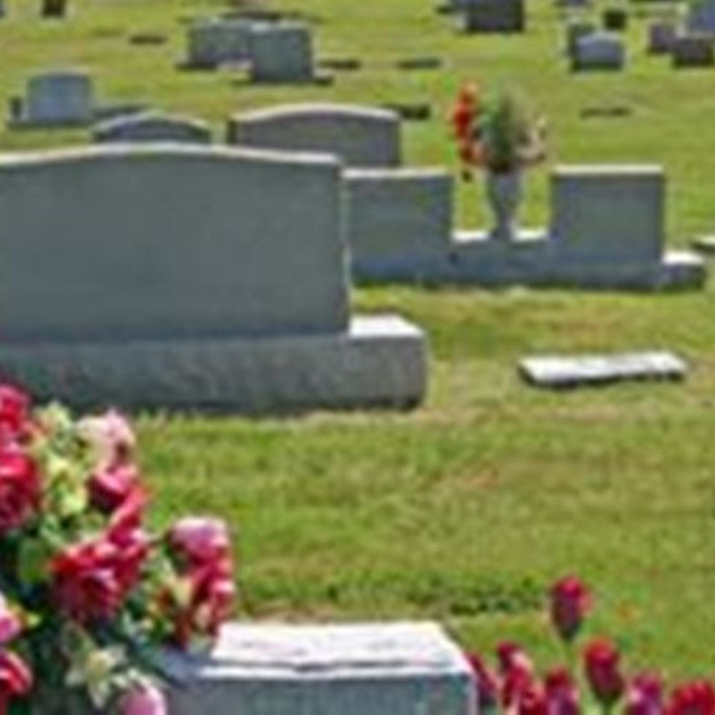 Cremation Albany OR\'s tracks