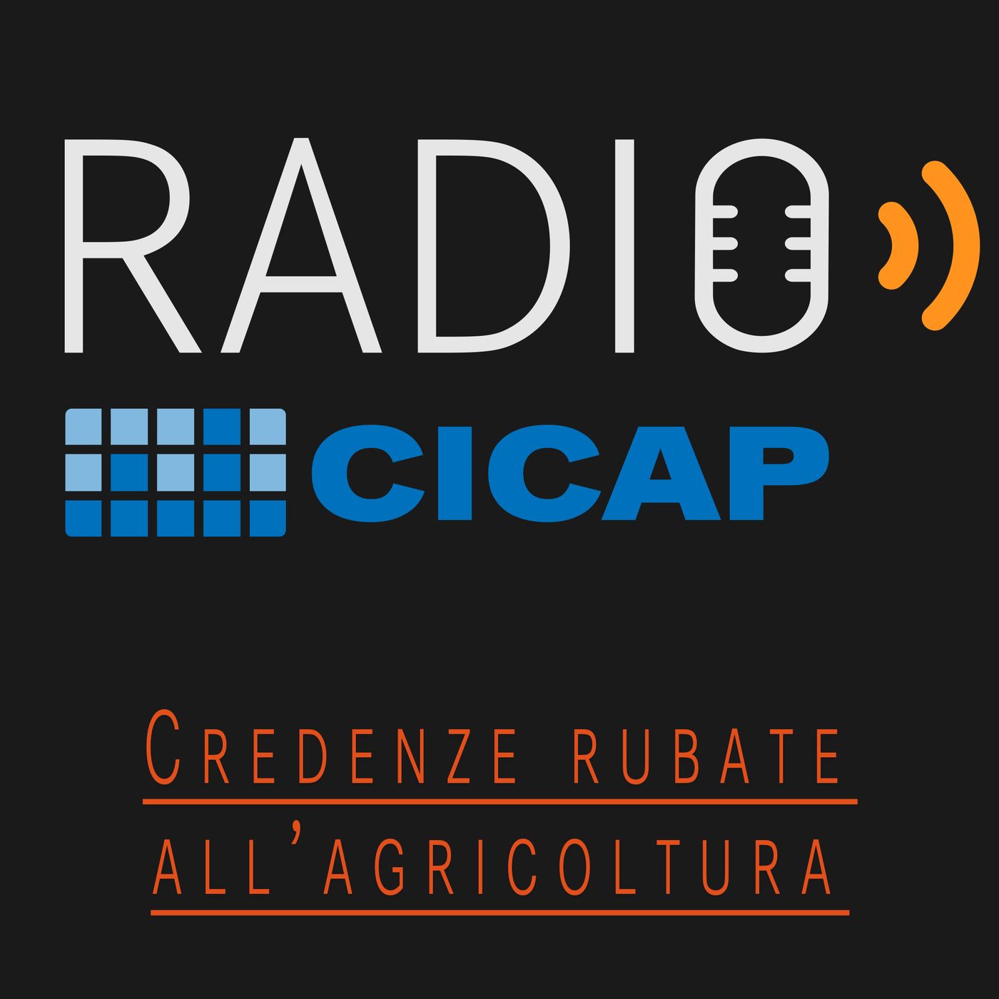Radio CICAP