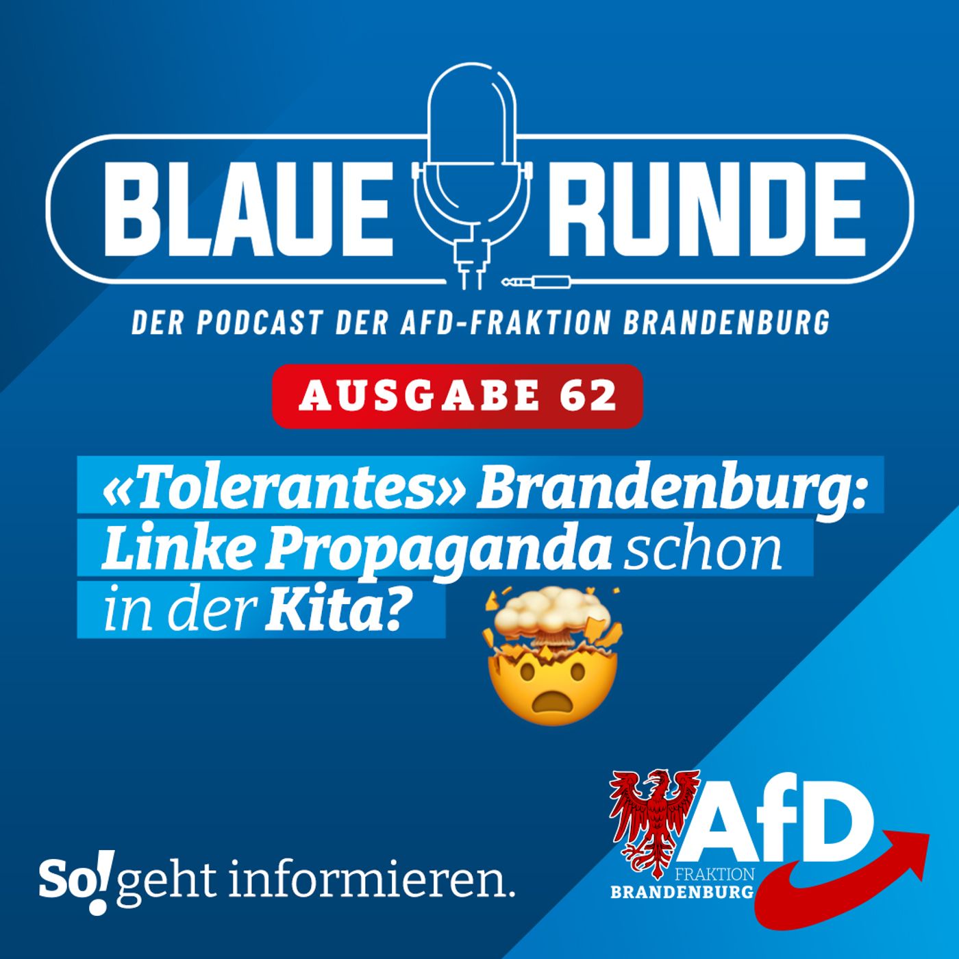 „Tolerantes“ Brandenburg: Linke Propaganda schon in der Kita? | Die Blaue Runde, Ausgabe 62/23 vom 25.06.2023 episode artwork
