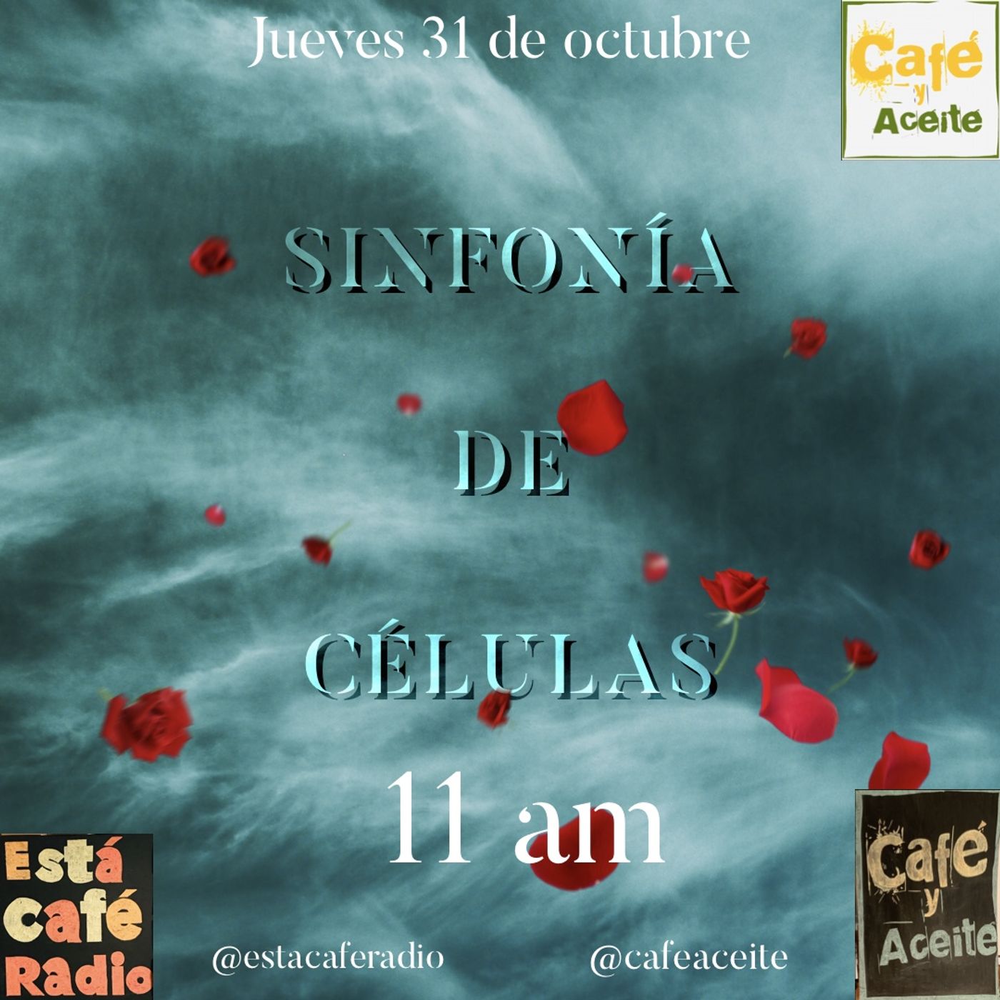 Café y Aceite