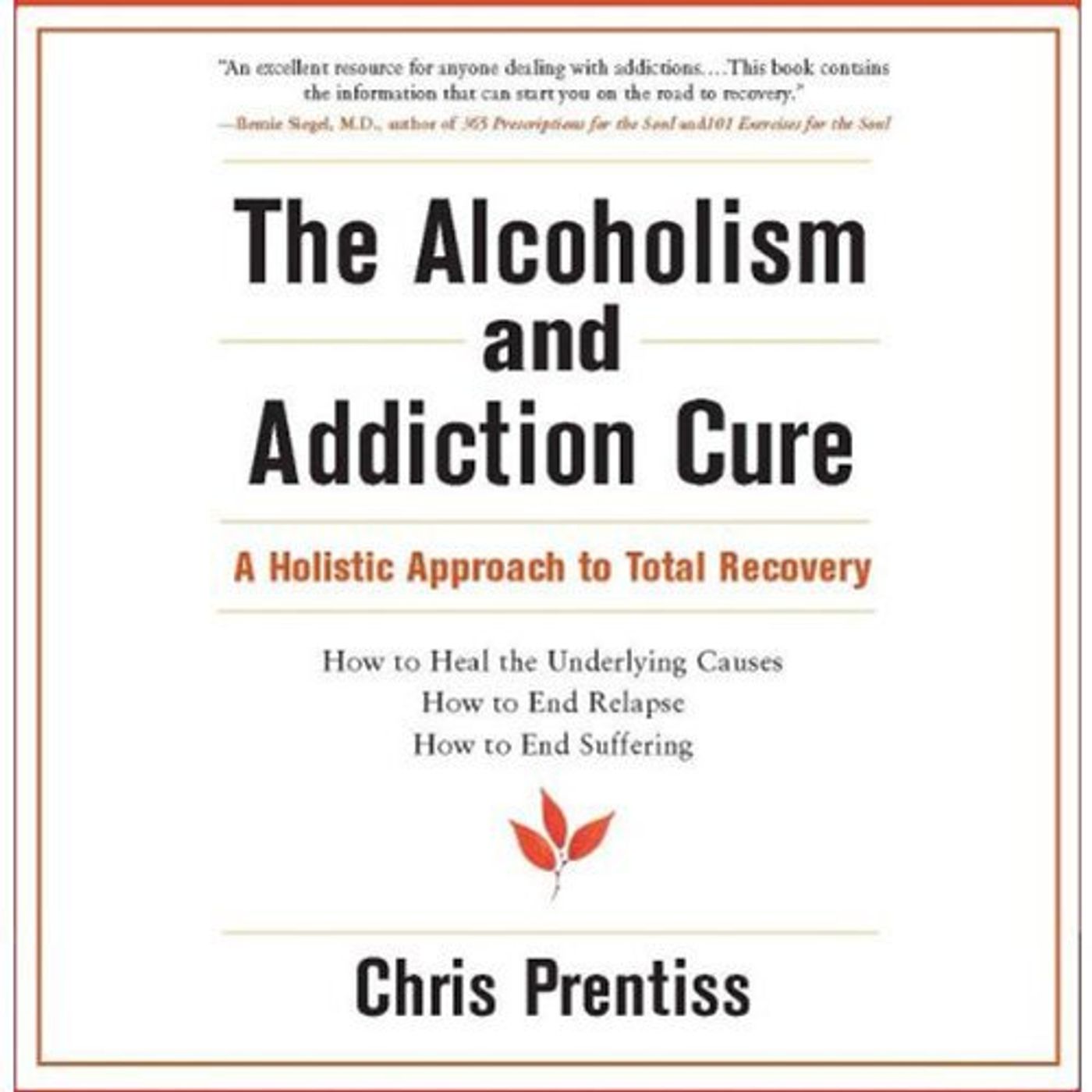The Alcoholism and Addiction Cure Audiobook by Chris Prentiss episode artwork