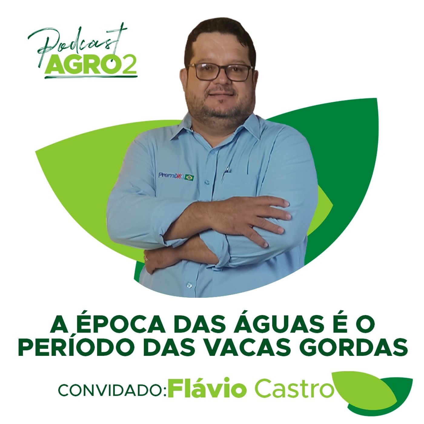 Como fazer planos nutricionais de bovinos no período das águas - Entenda com Flávio Castro #143 episode artwork
