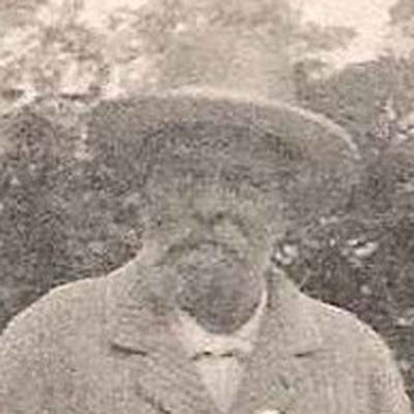 Parnaso