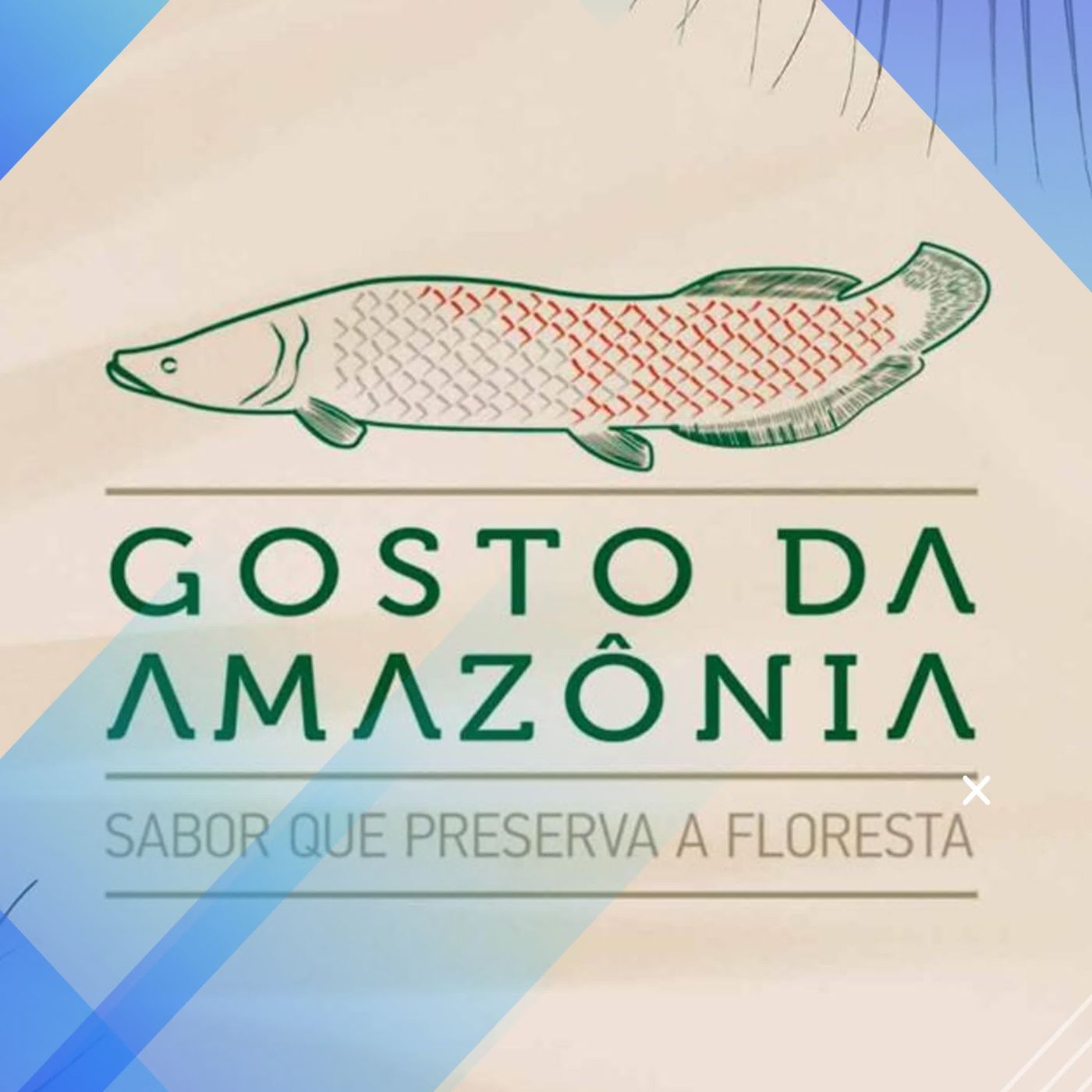 Festival Gosto da Amazônia RJ episode artwork