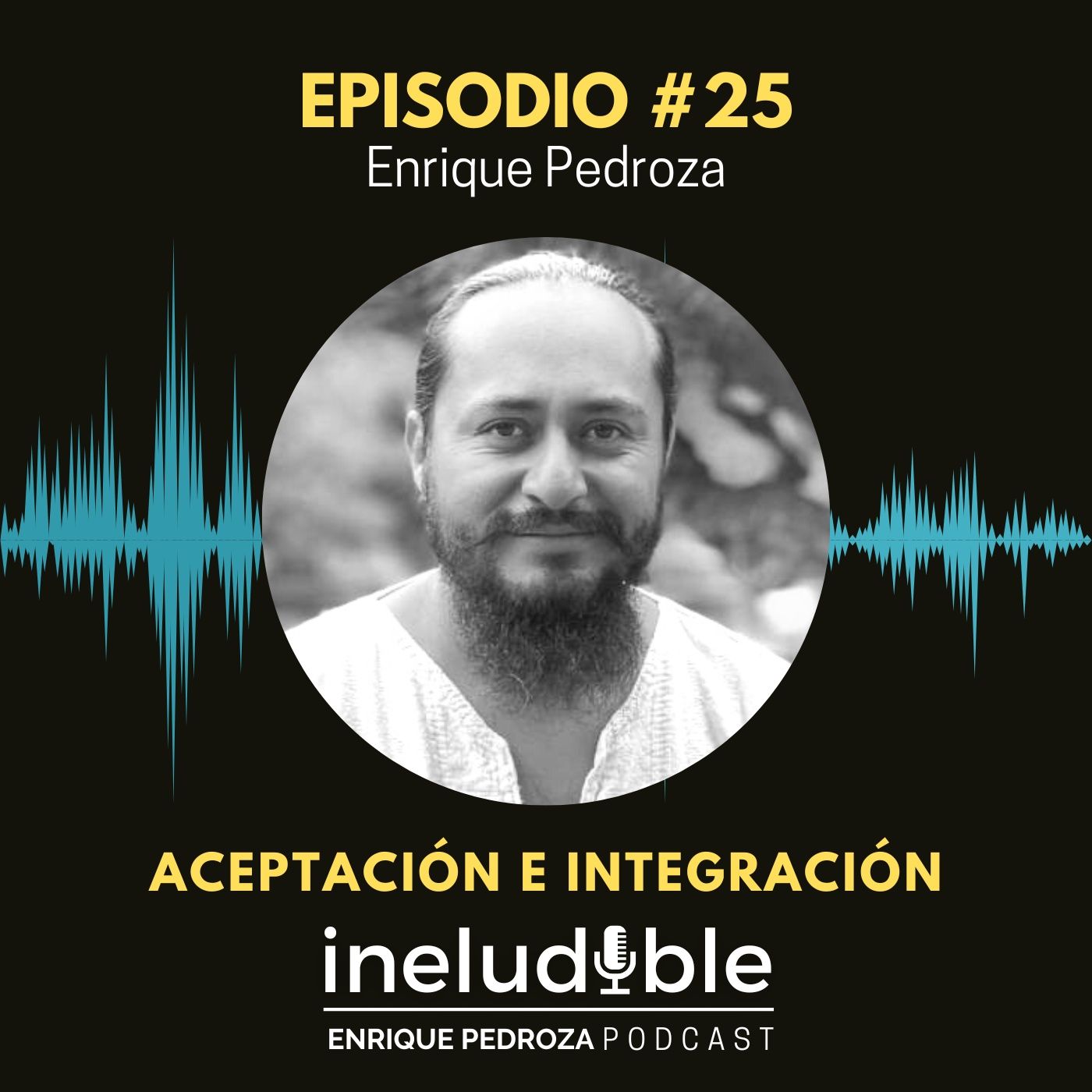 Episodio #25 Aceptación e Integración episode artwork