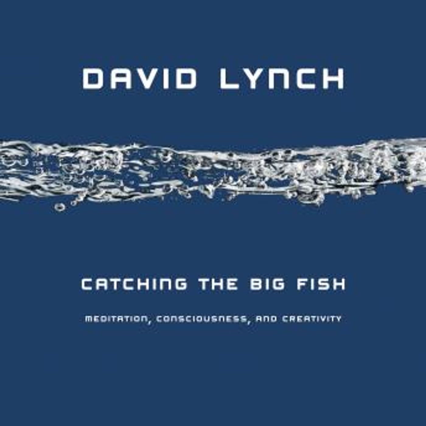 Catching the Big Fish: Meditation, Consciousness, and Creativity by David Lynch episode artwork