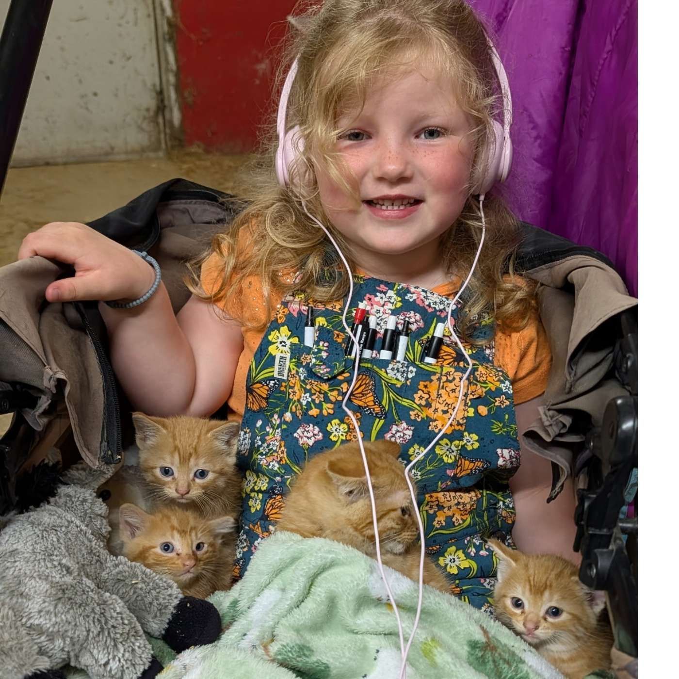 RFD Livestock Report 7-8-26 Barn Cats on the Farm-Lorilee Schultz Mil-R-Mor Farm episode artwork