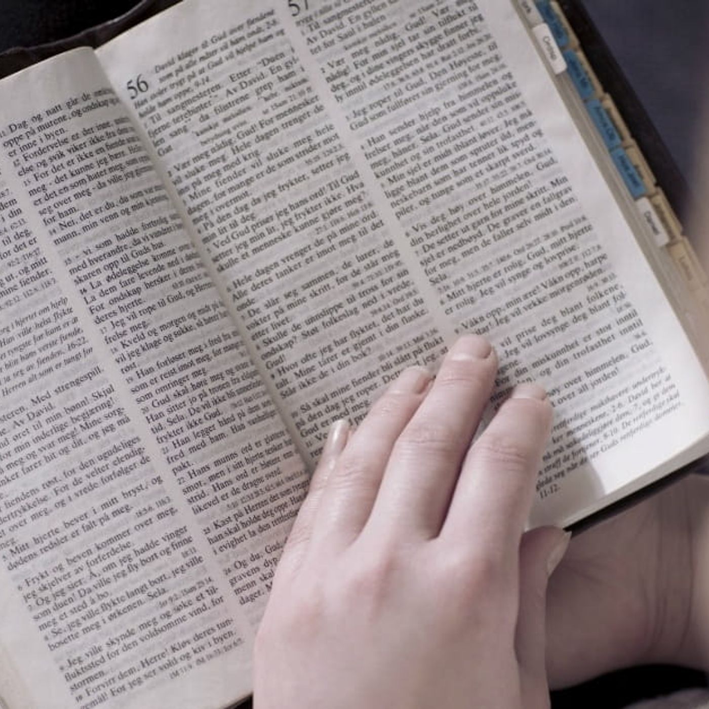 Conservative Groups in Texas Attack Gay Rights Proposals as Effort to ‘Ban the Bible’ + episode artwork