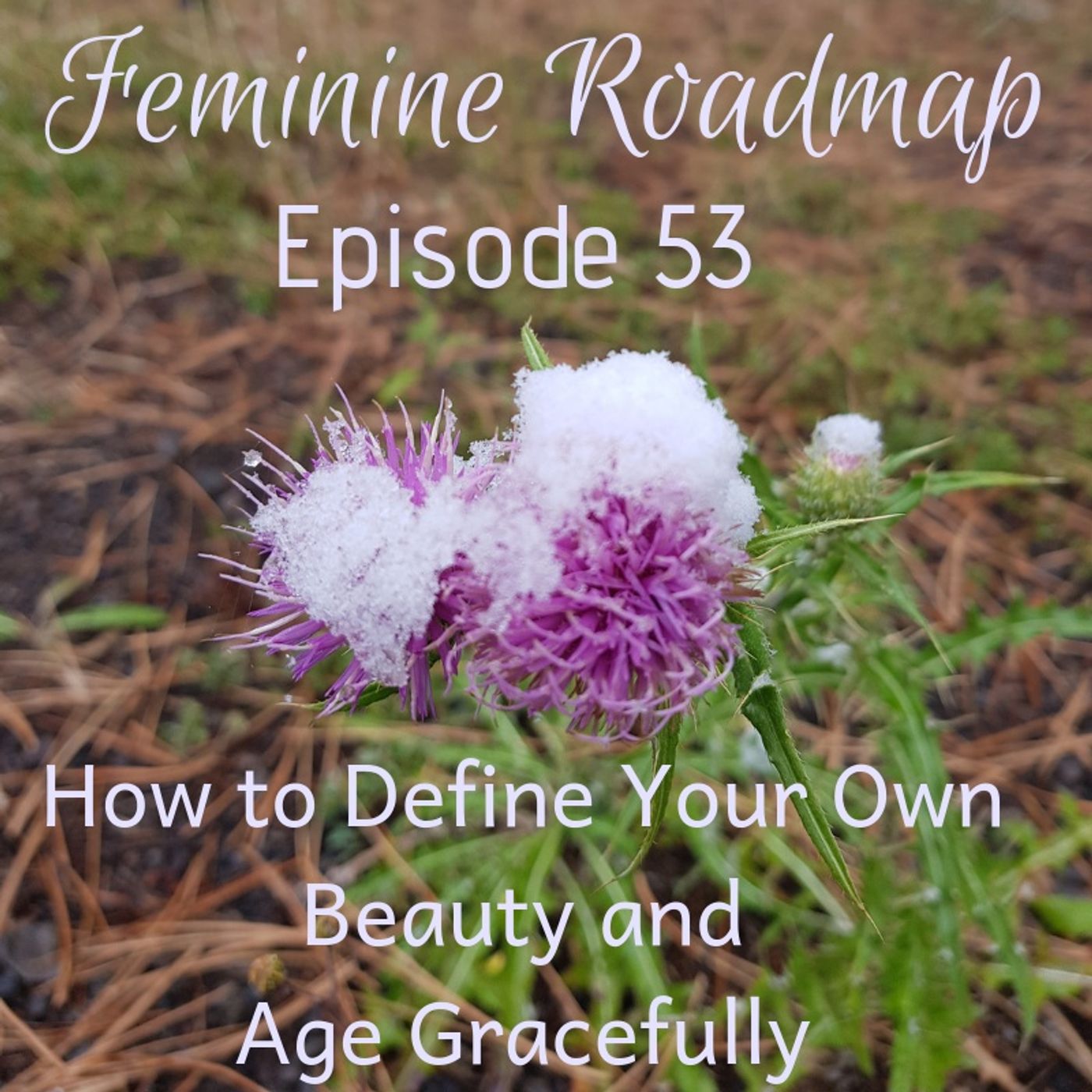 Feminine Roadmap