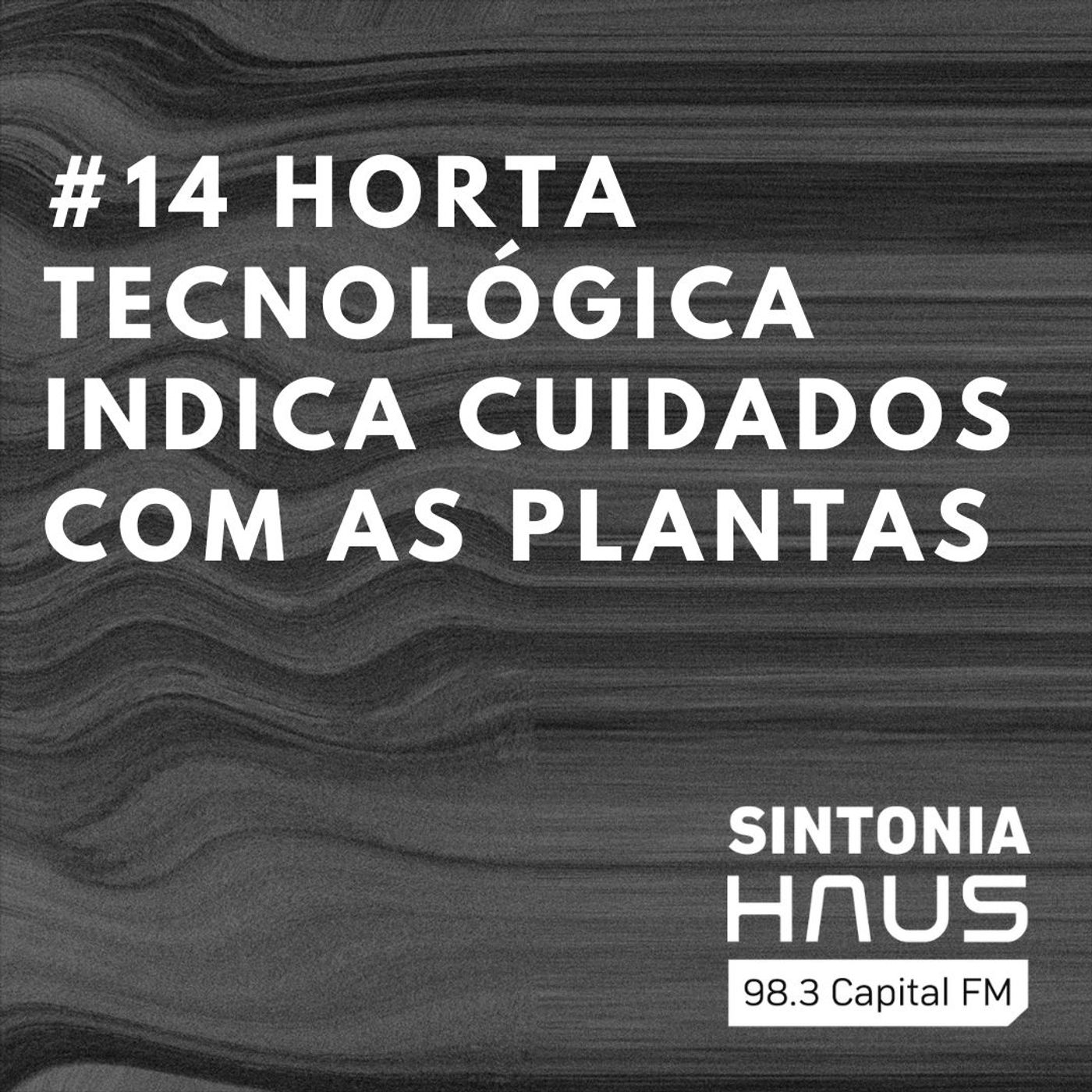Startup lança horta tecnológica que monitora o ambiente e indica cuidados com as plantas | Sintonia #14 episode artwork