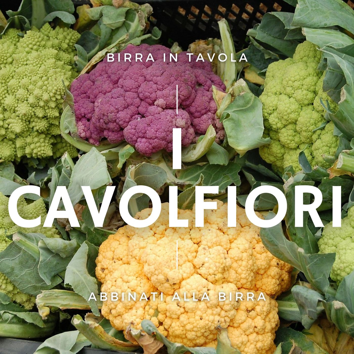 Birra in Tavola