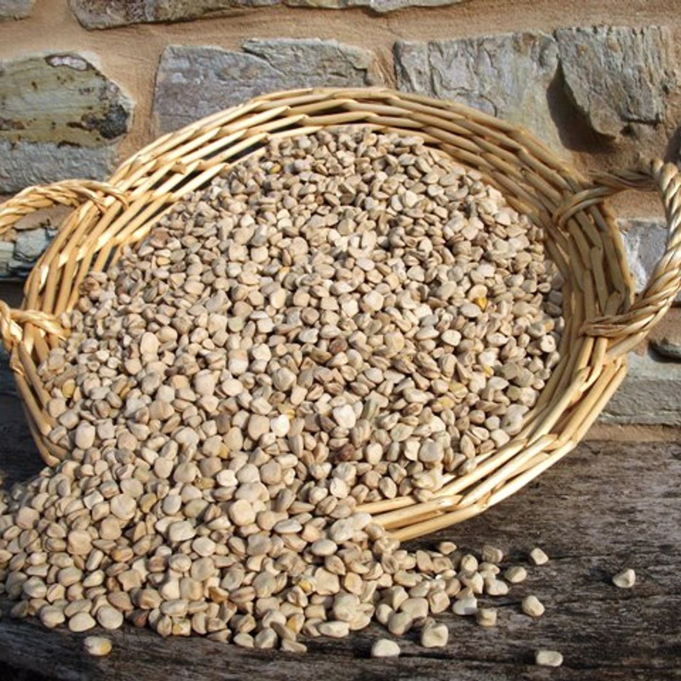 Fuoriporta